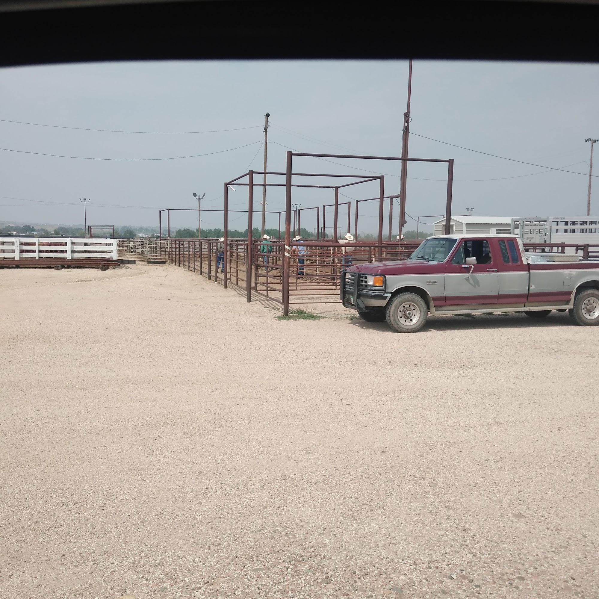 Colorado Veterinary Clinic La Junta