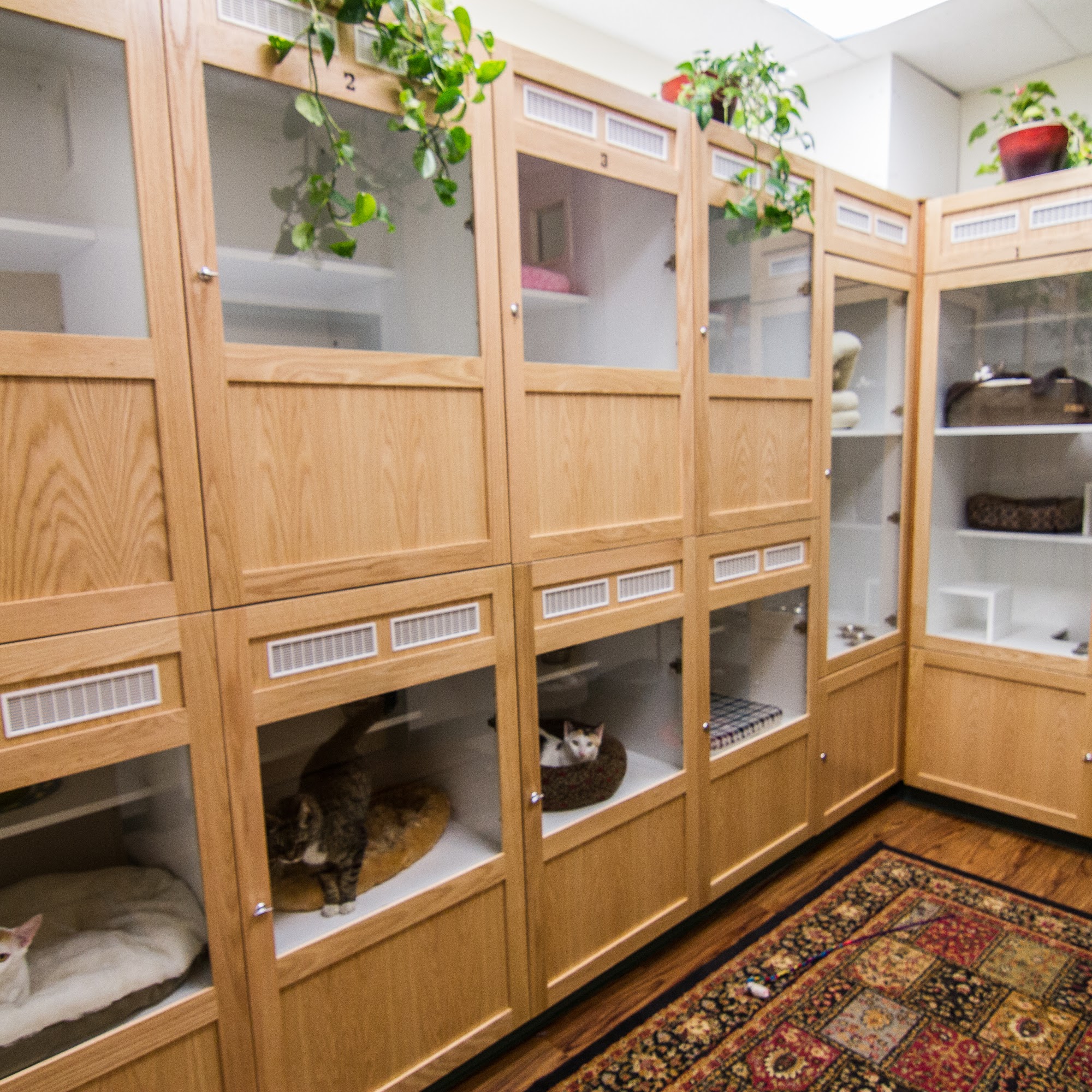 Lafayette Companion Animal Hospital Lafayette