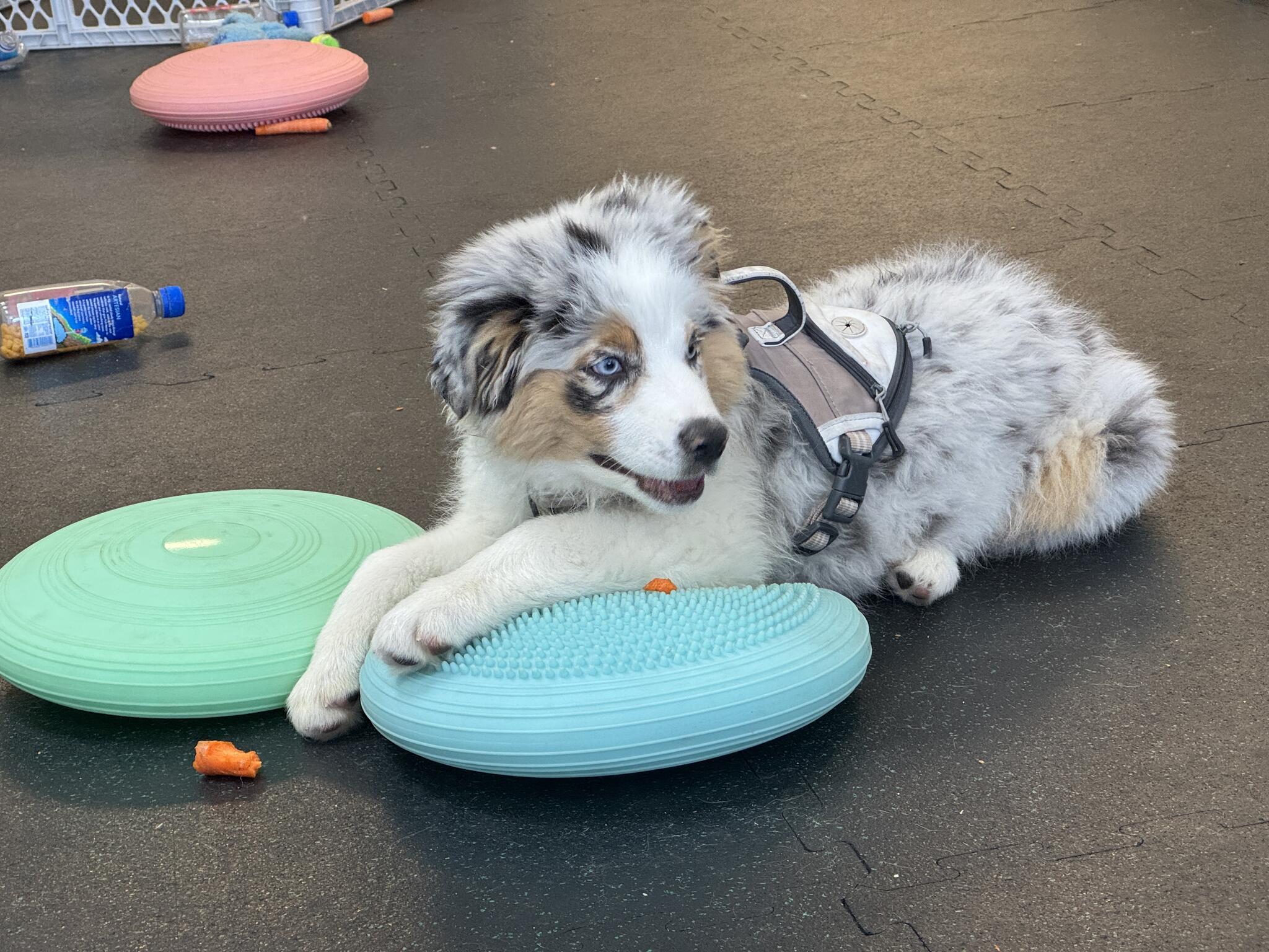 Photo credit: nextdoor