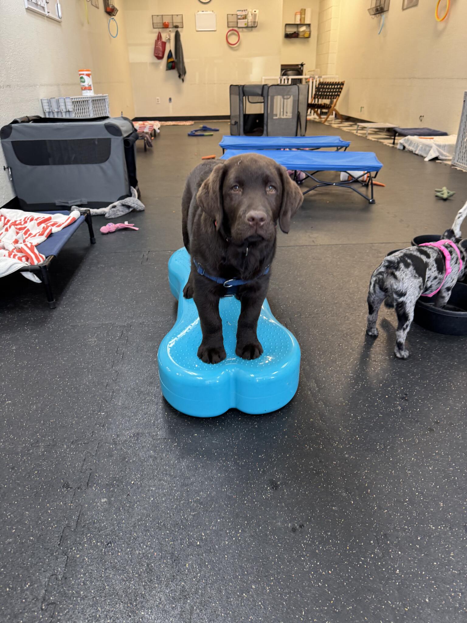 Photo credit: nextdoor