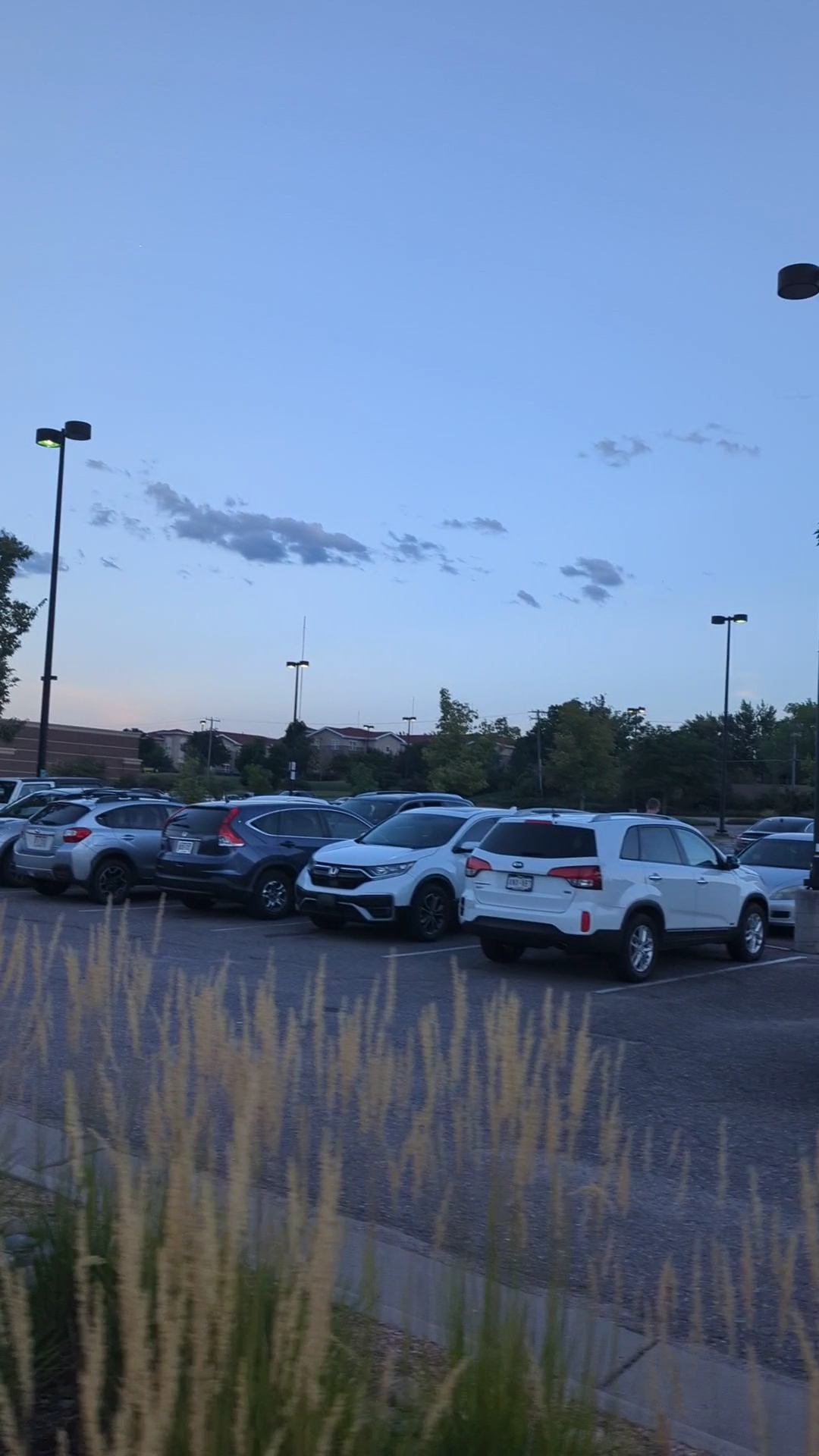 Chipotle Mexican Grill Menu