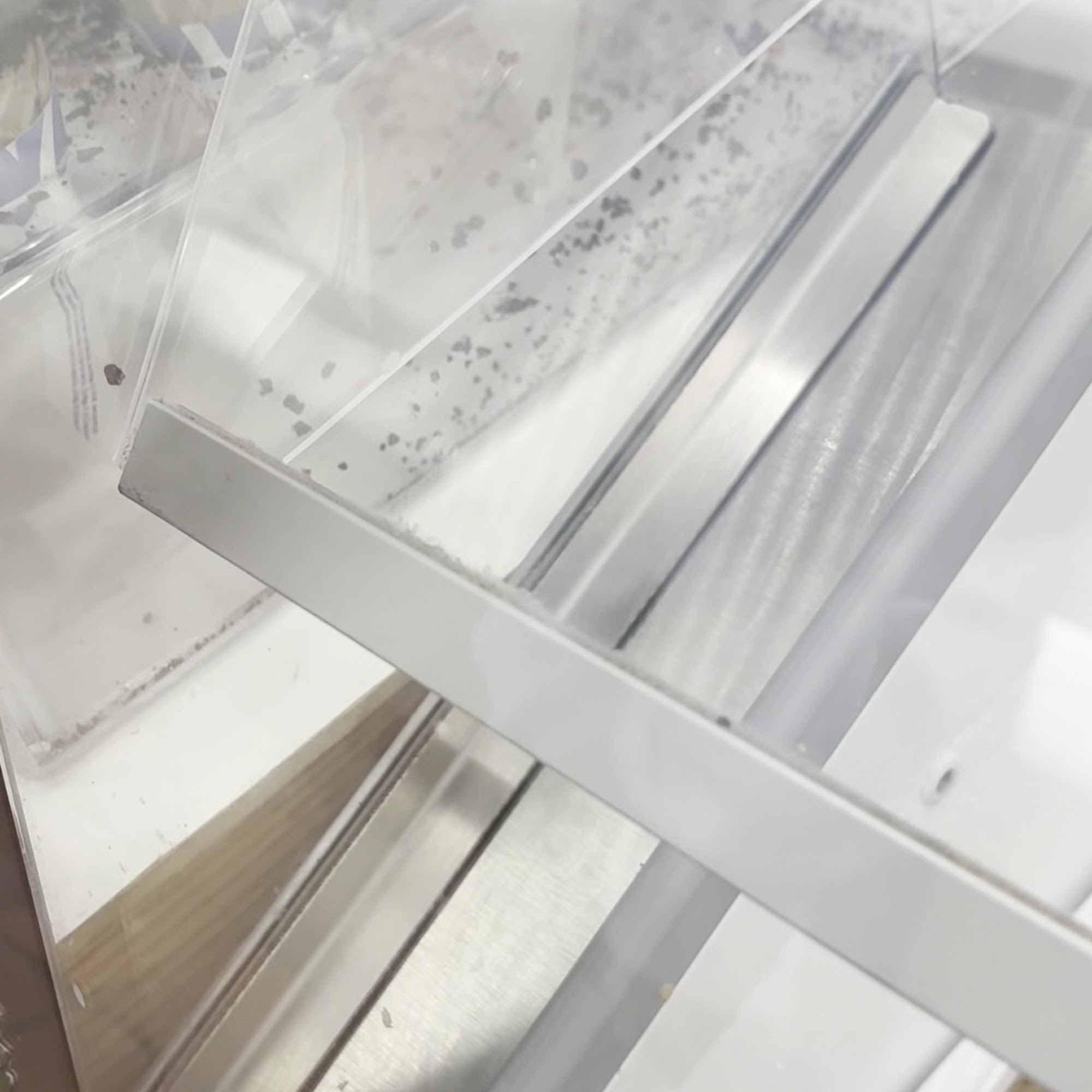 Magill's World of Ice Cream Lakewood