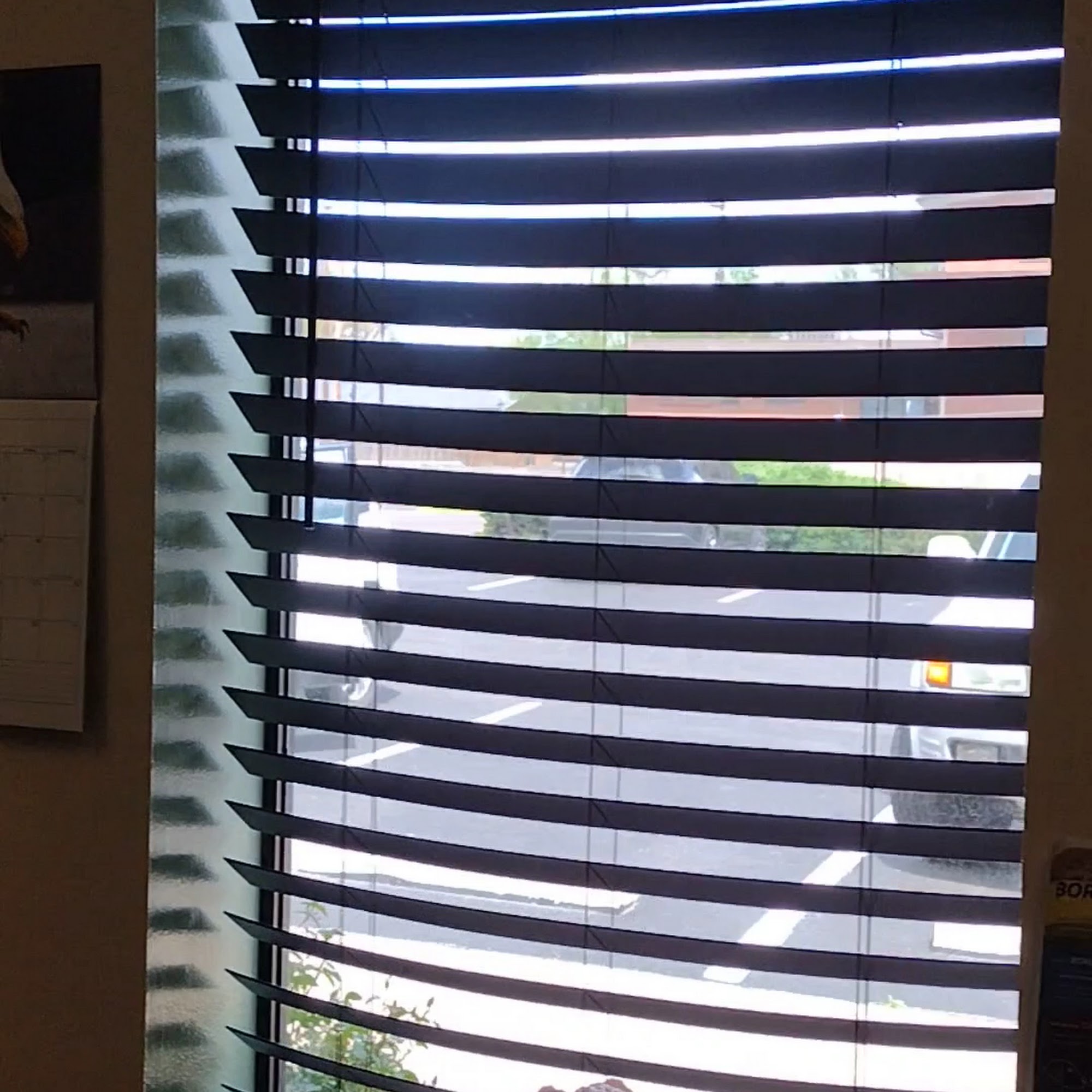 Alameda Veterinary Clinic Lakewood