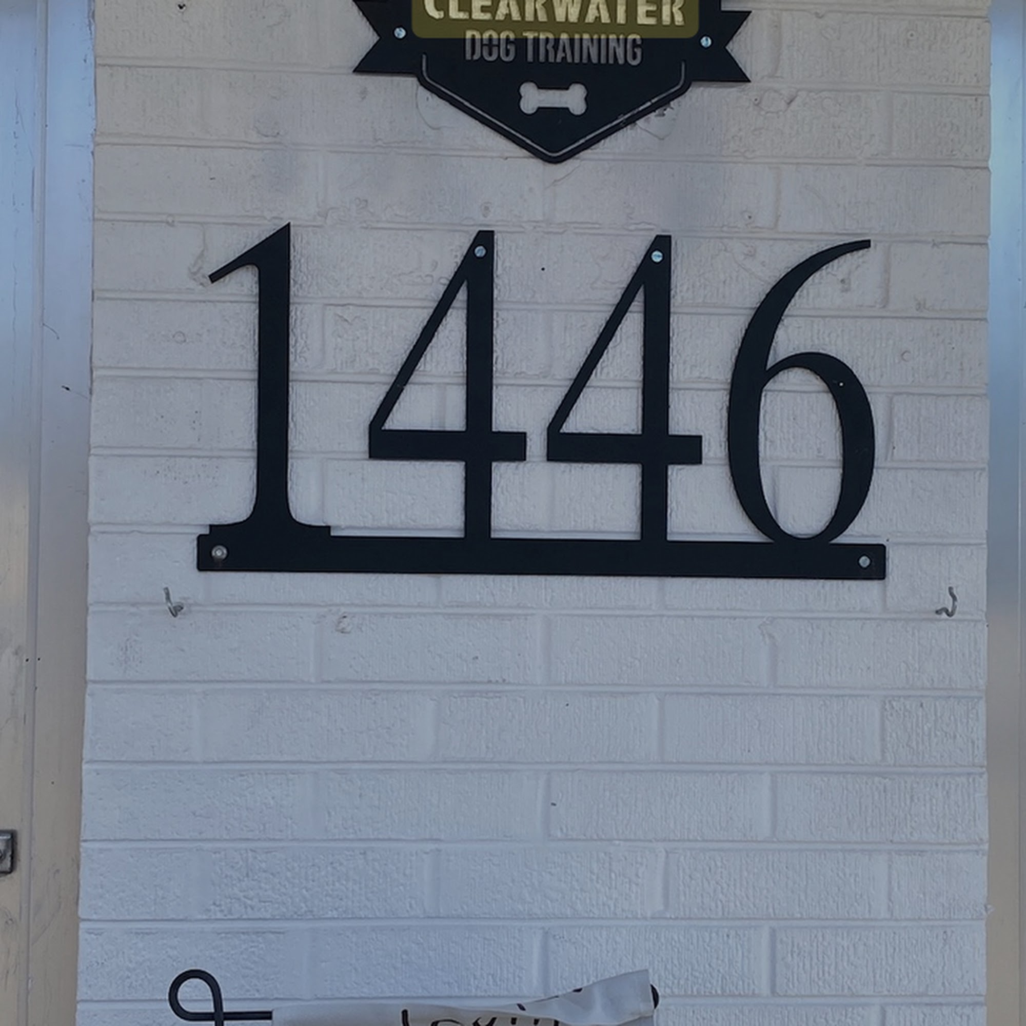 Clearwater Dog Training Lakewood