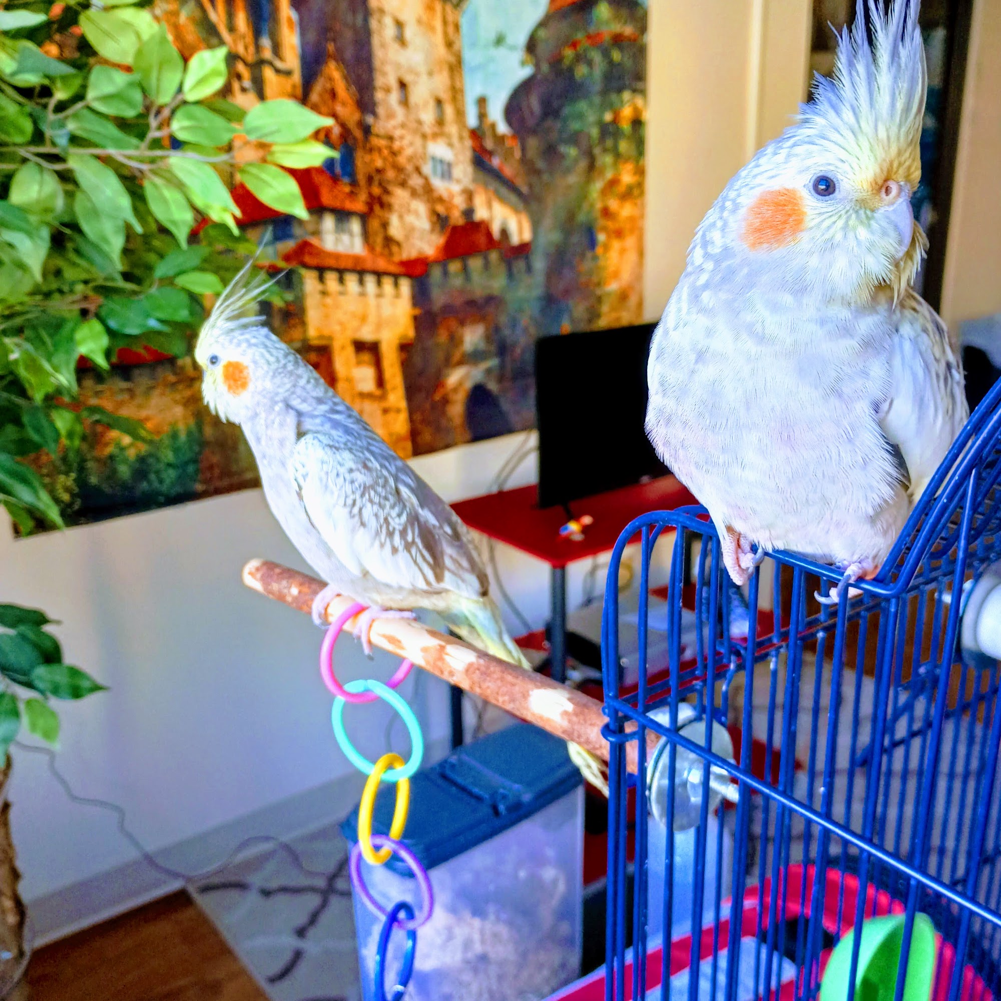 World Of Birds Lakewood