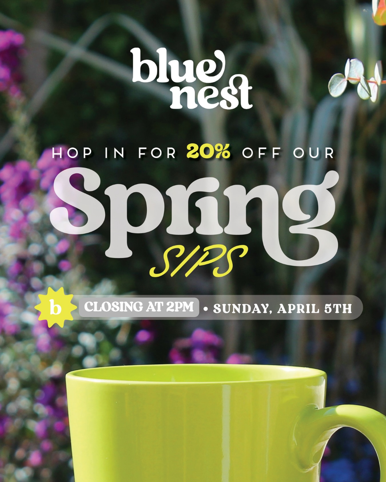 Blue Nest Coffee Lakewood