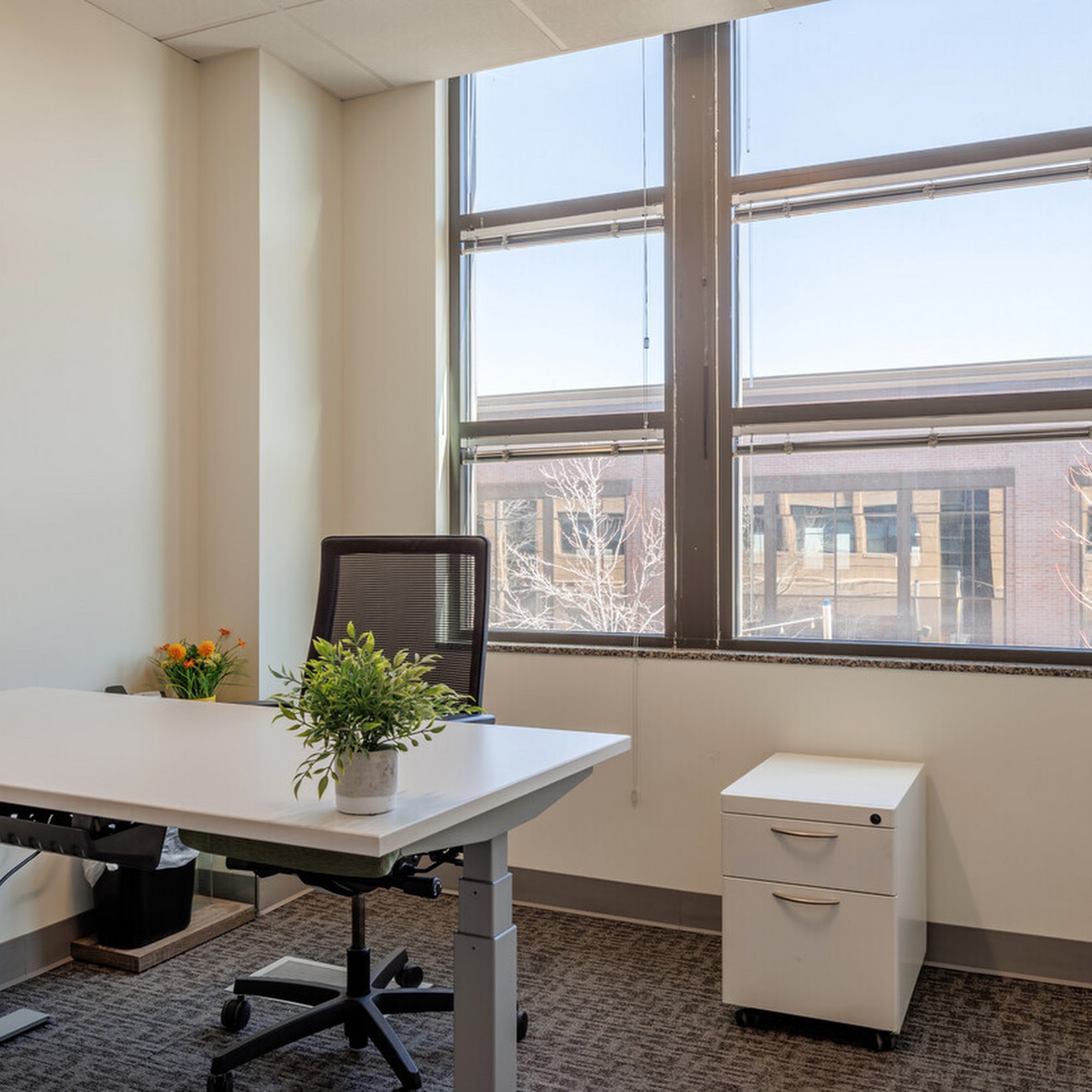 Office Evolution Lakewood