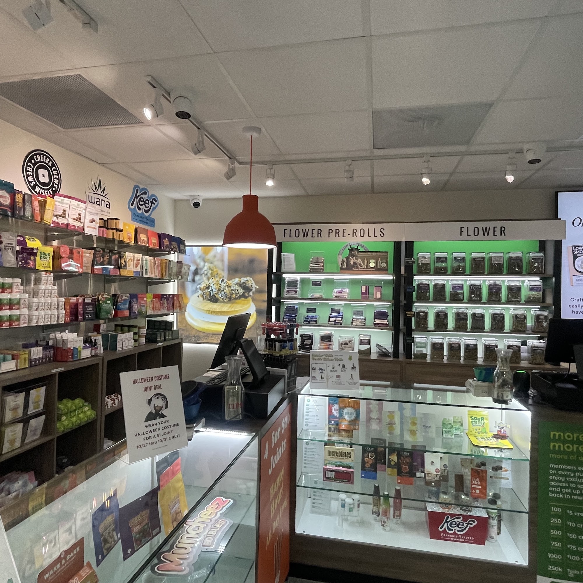 Star Buds Lakewood Lakewood