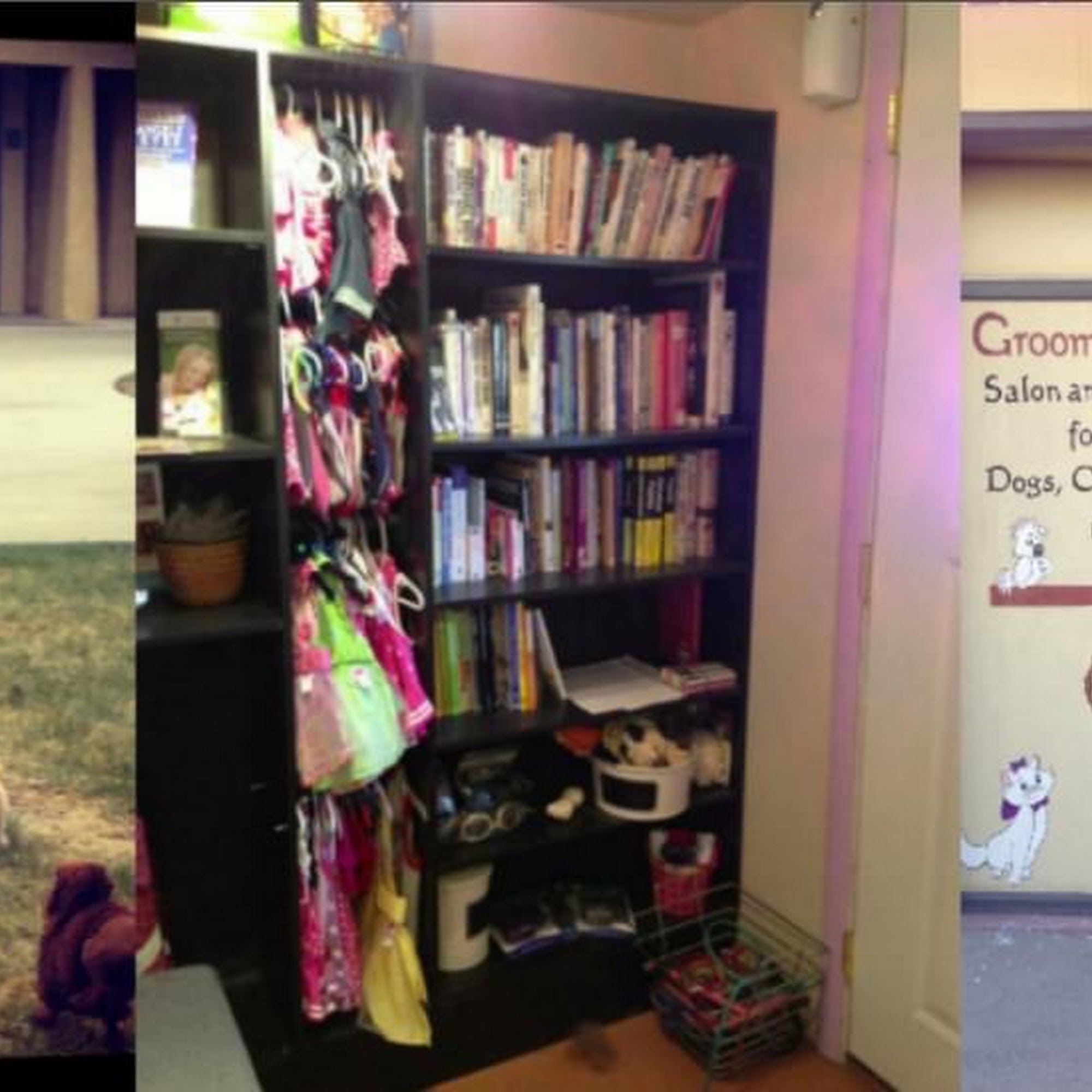 Groomingdales Salon and Boutique Lamar