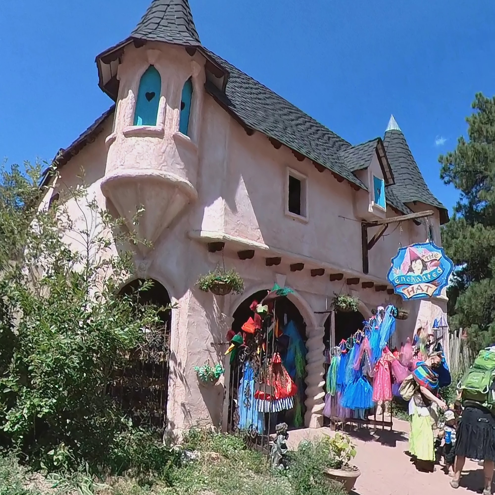 Enchanted Hat Larkspur