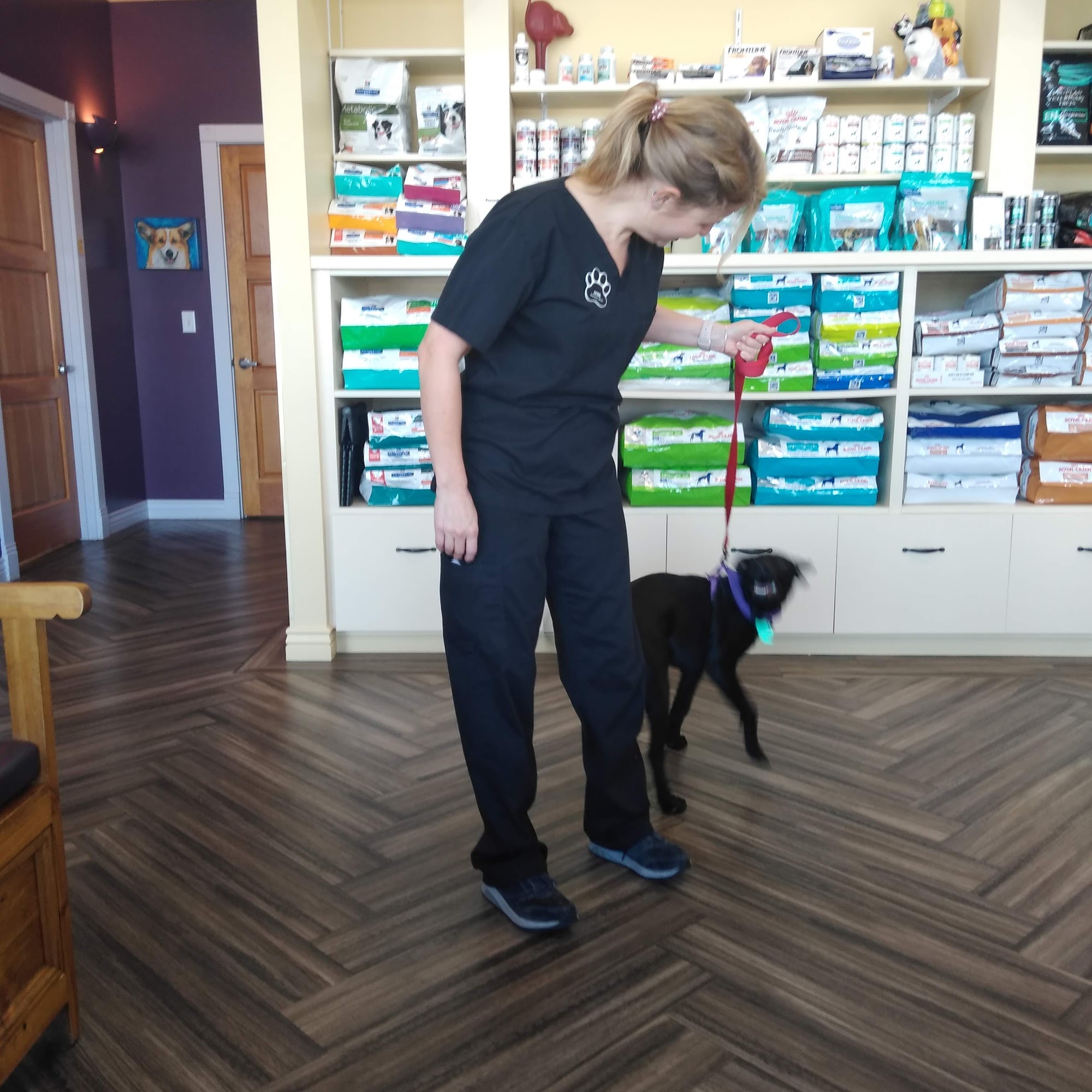 Levy, Jill - DVM Littleton