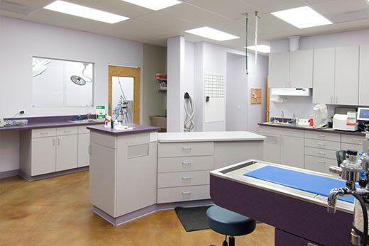 Levy, Jill - DVM Littleton