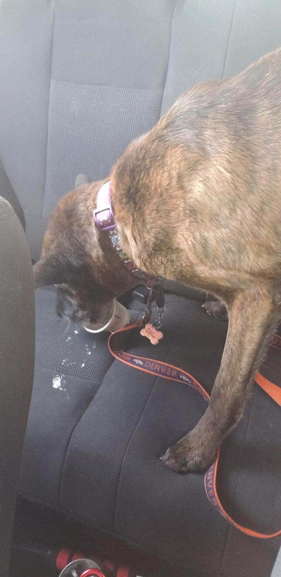 Photo credit: nextdoor