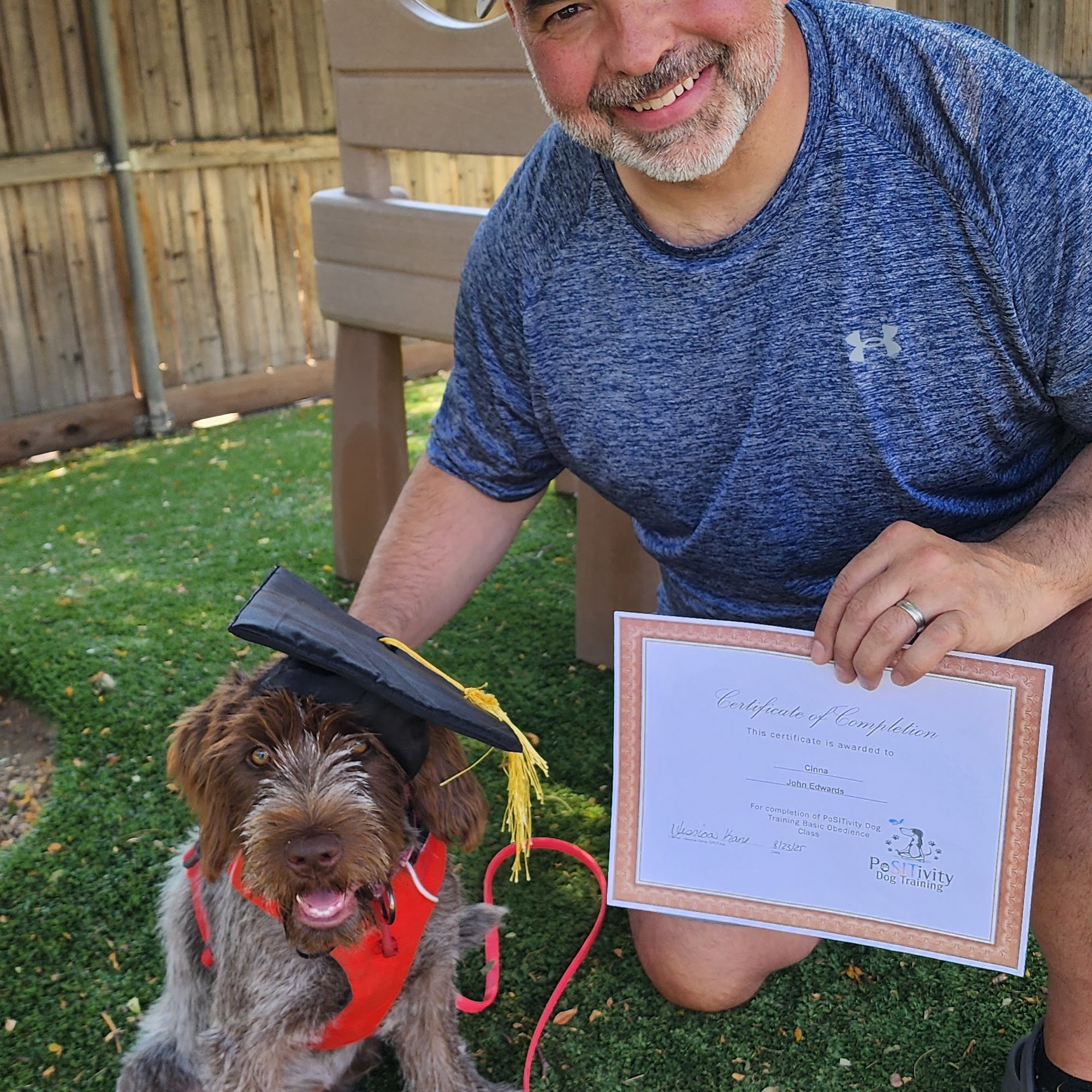 Positivity Dog Training LLC Littleton