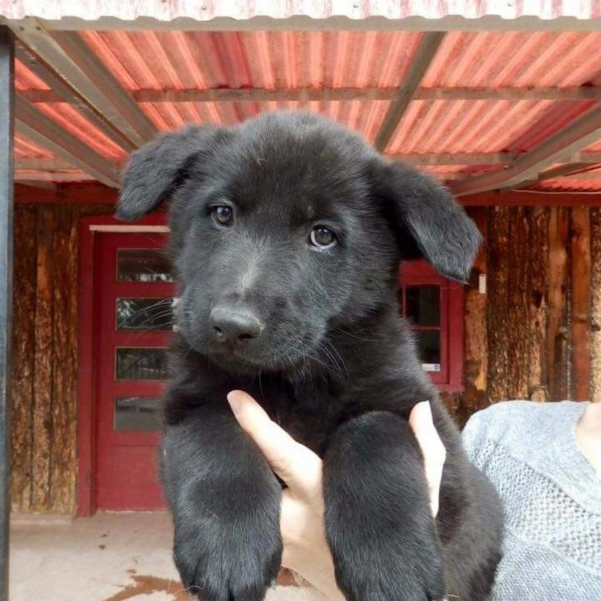 Von NewAgape Littleton