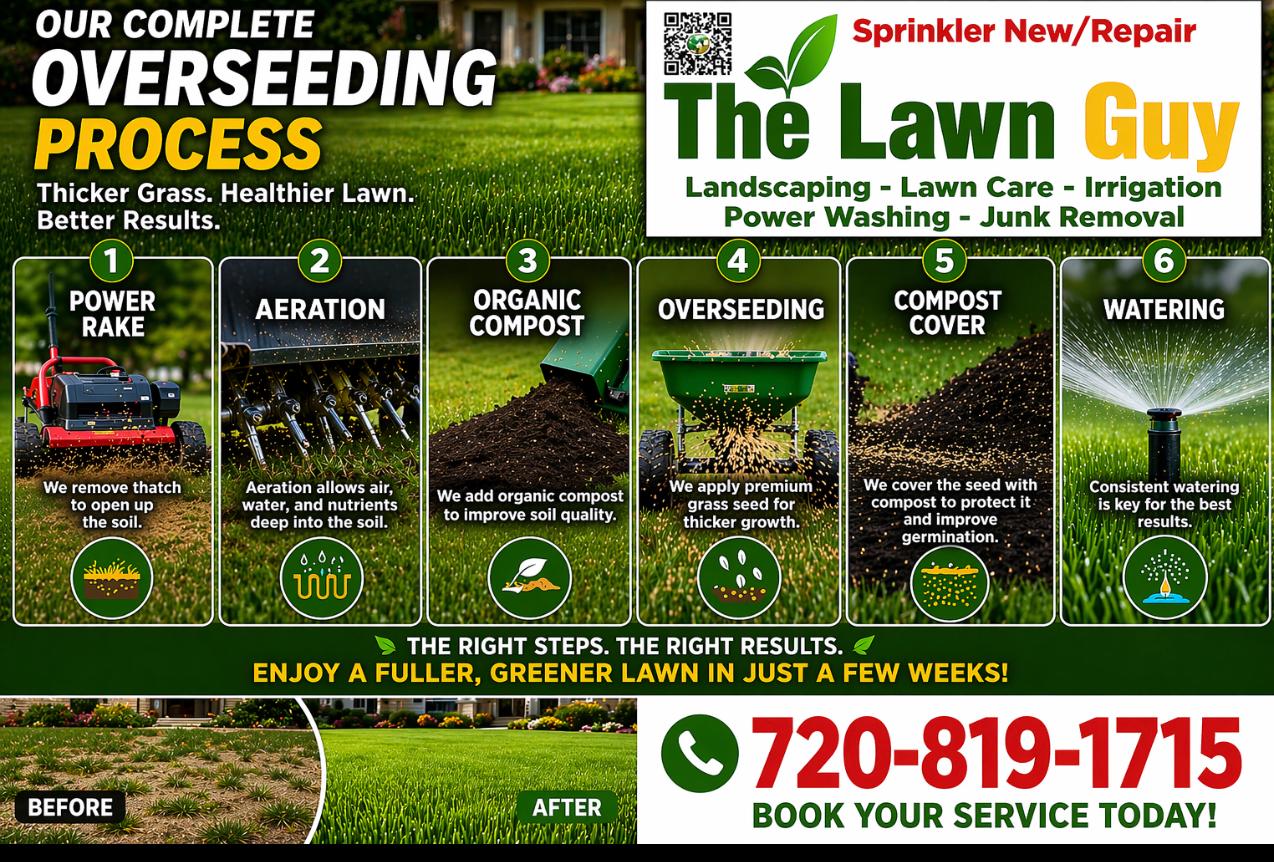 Lawn Guy