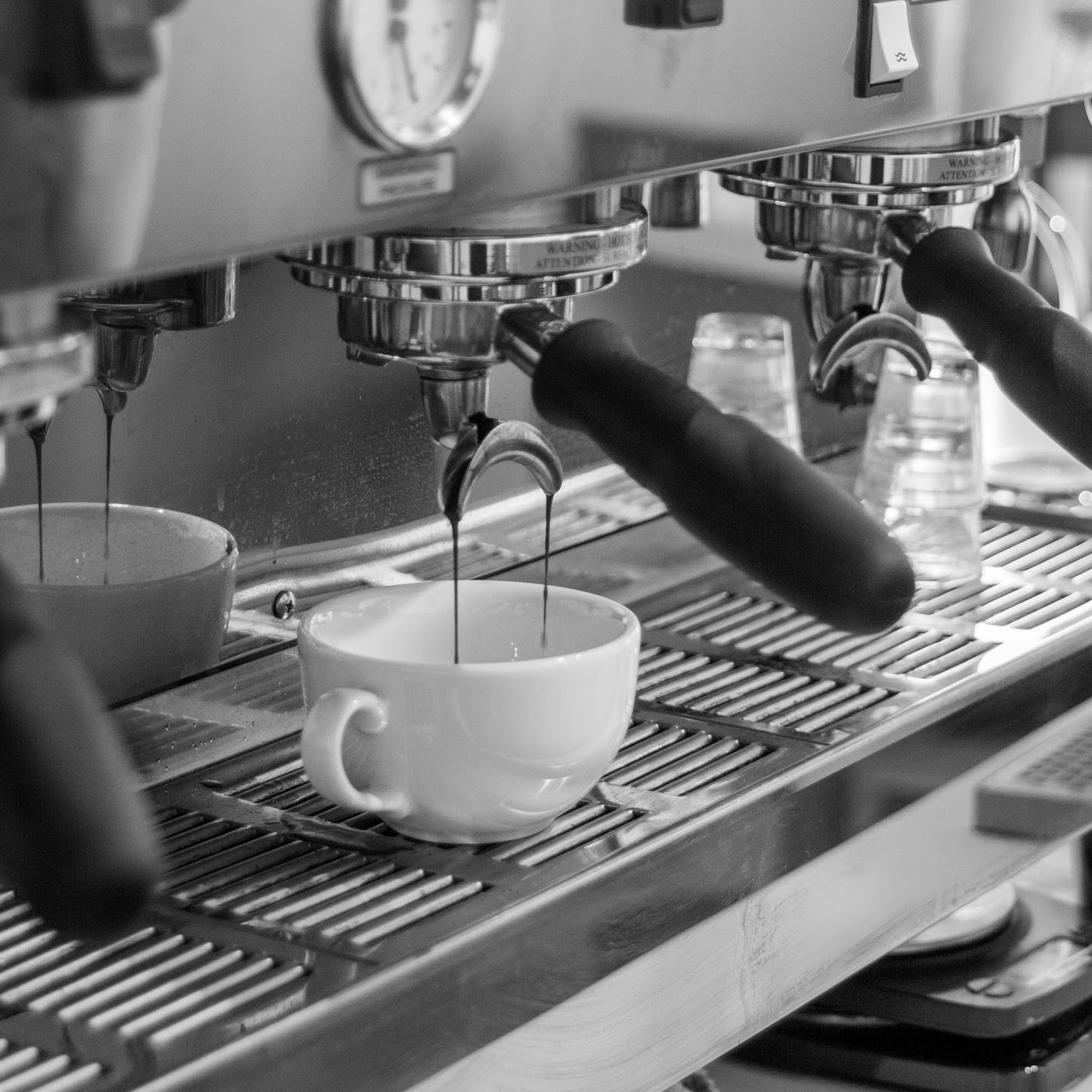 Monk & Mongoose Coffee Co Lone Tree