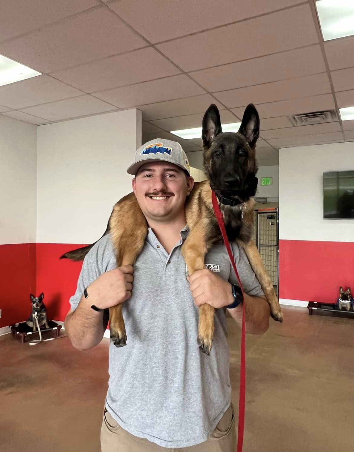 Sit Means Sit Dog Training Aurora-Parker Lone Tree