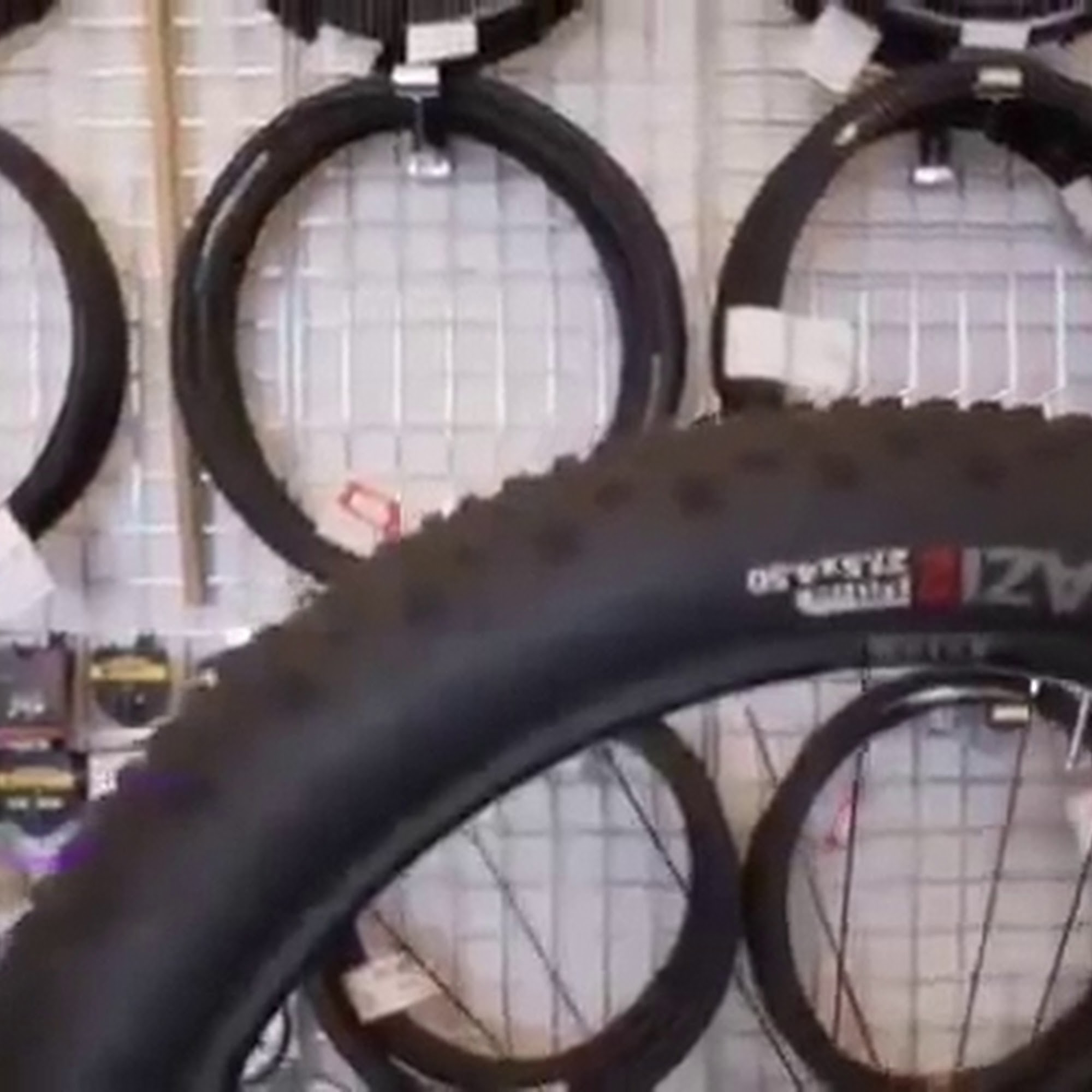 Longmont Bicycle Company & Front Range eBikes Longmont