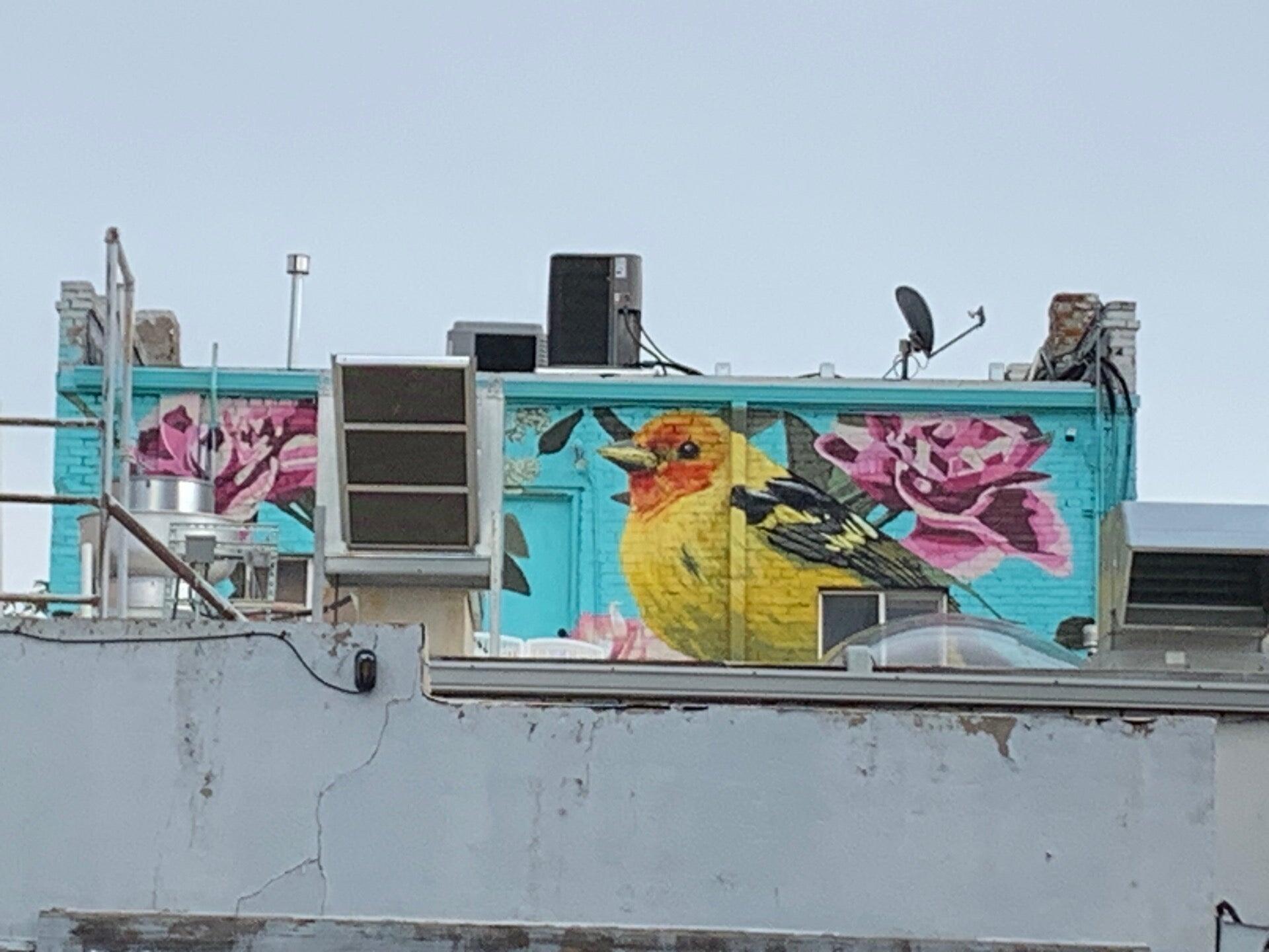 Photo credit: nextdoor