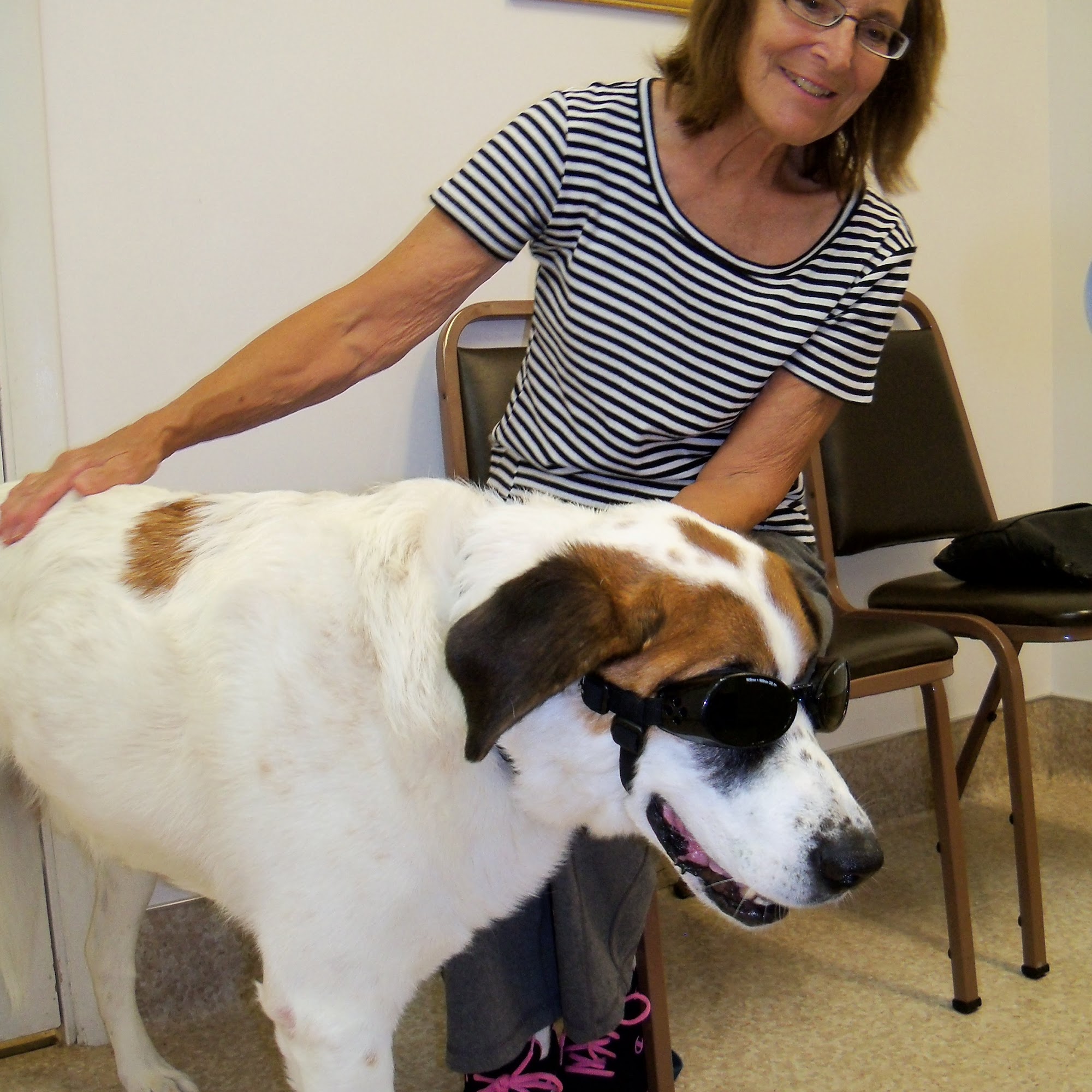 Valley Veterinary Hospital Longmont