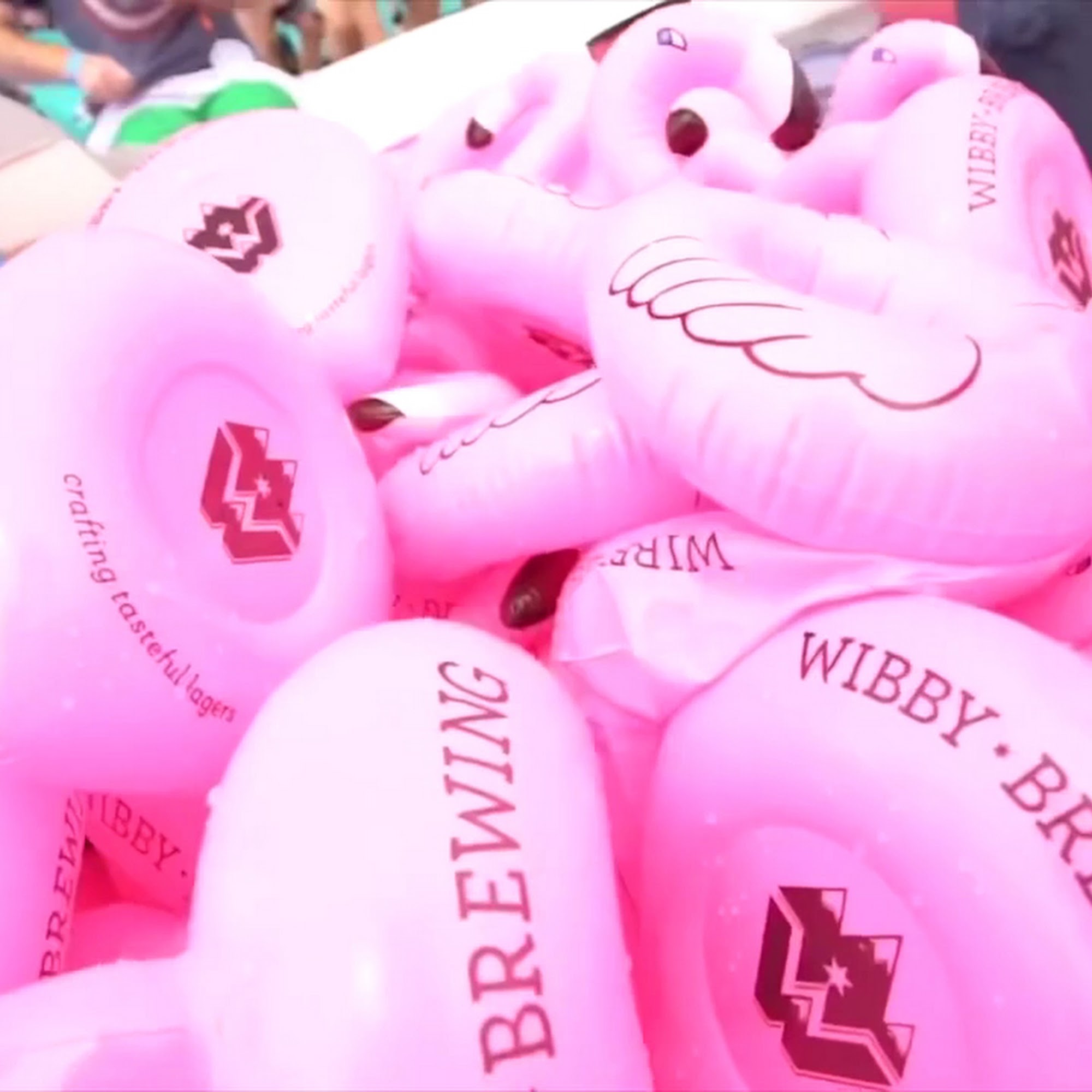 Wibby Brewing Longmont