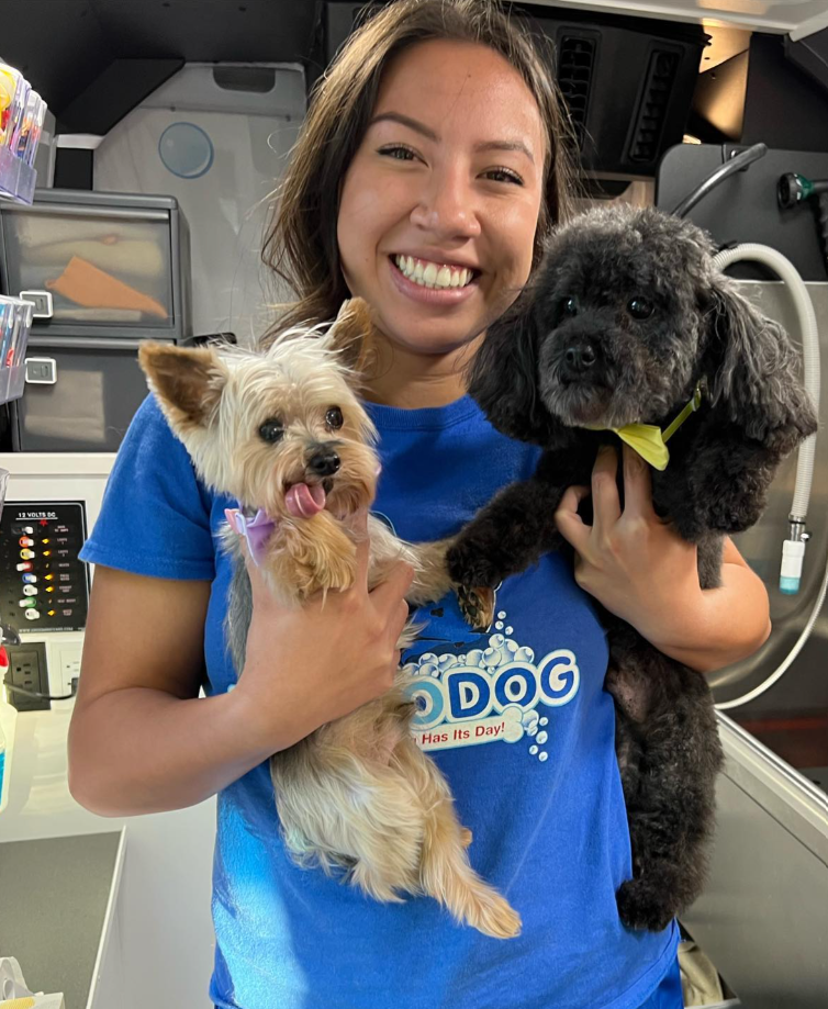 RegalRuff Mobile Dog Grooming Longmont