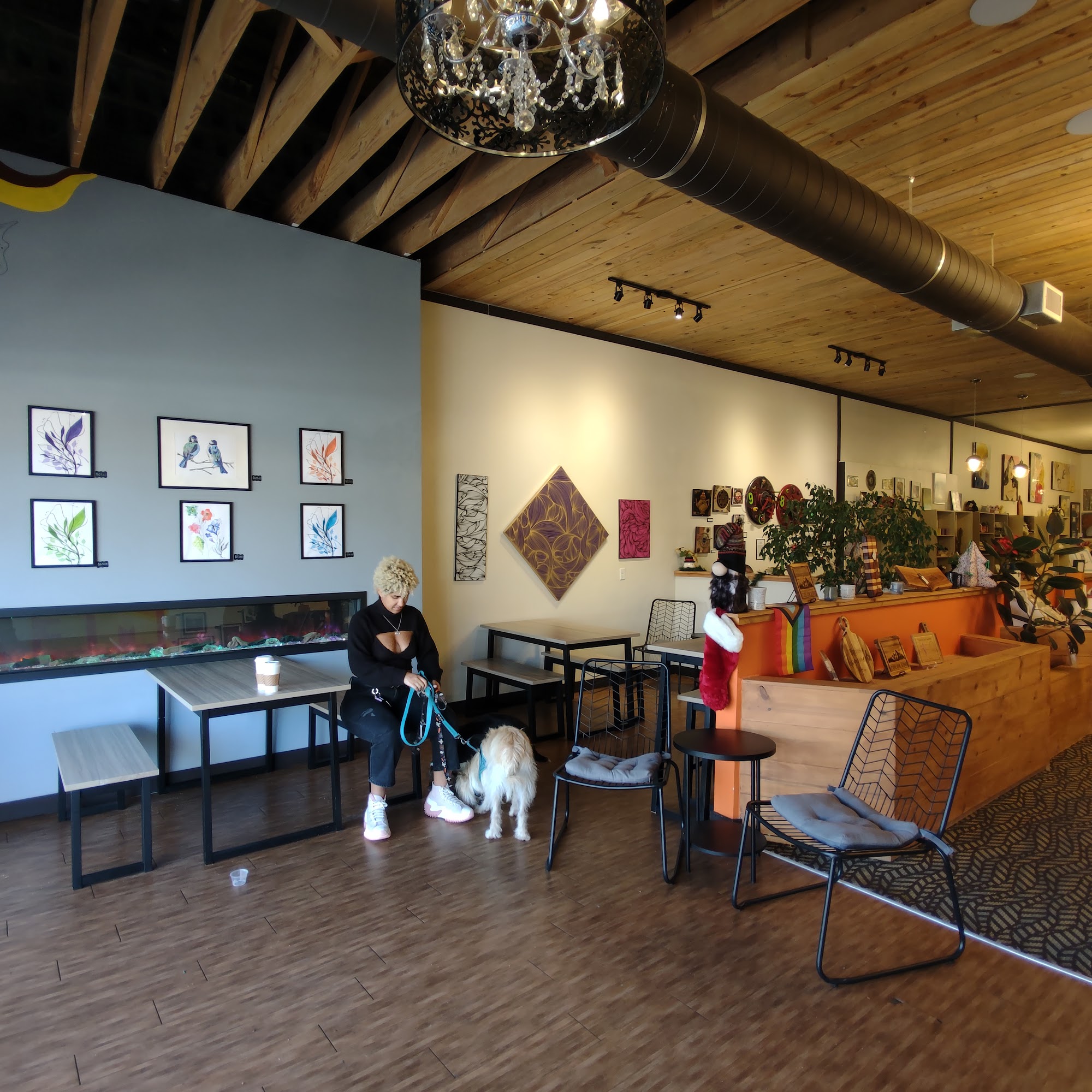 MECO Coffee Collective Longmont
