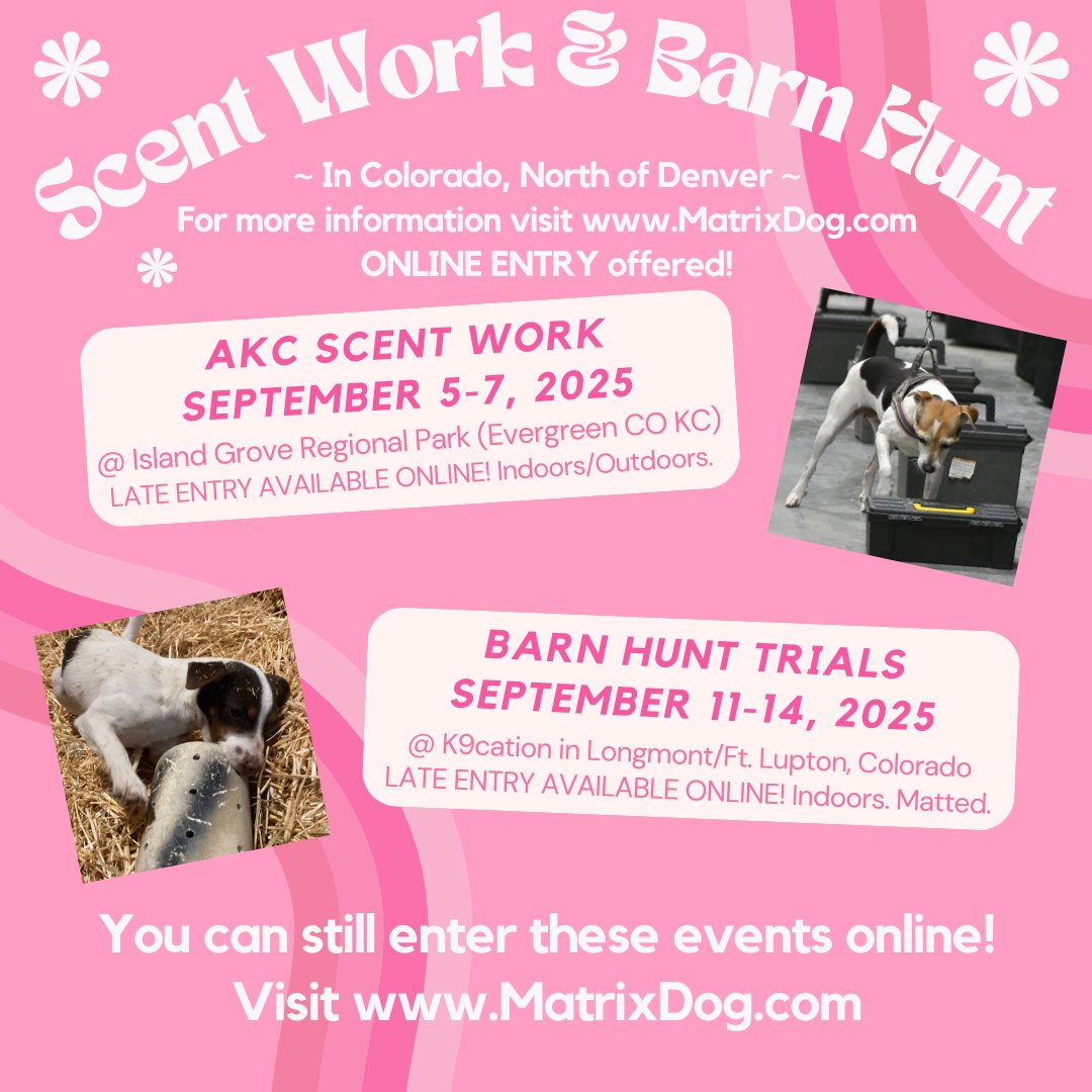 Matrix Dog - Training Center Longmont