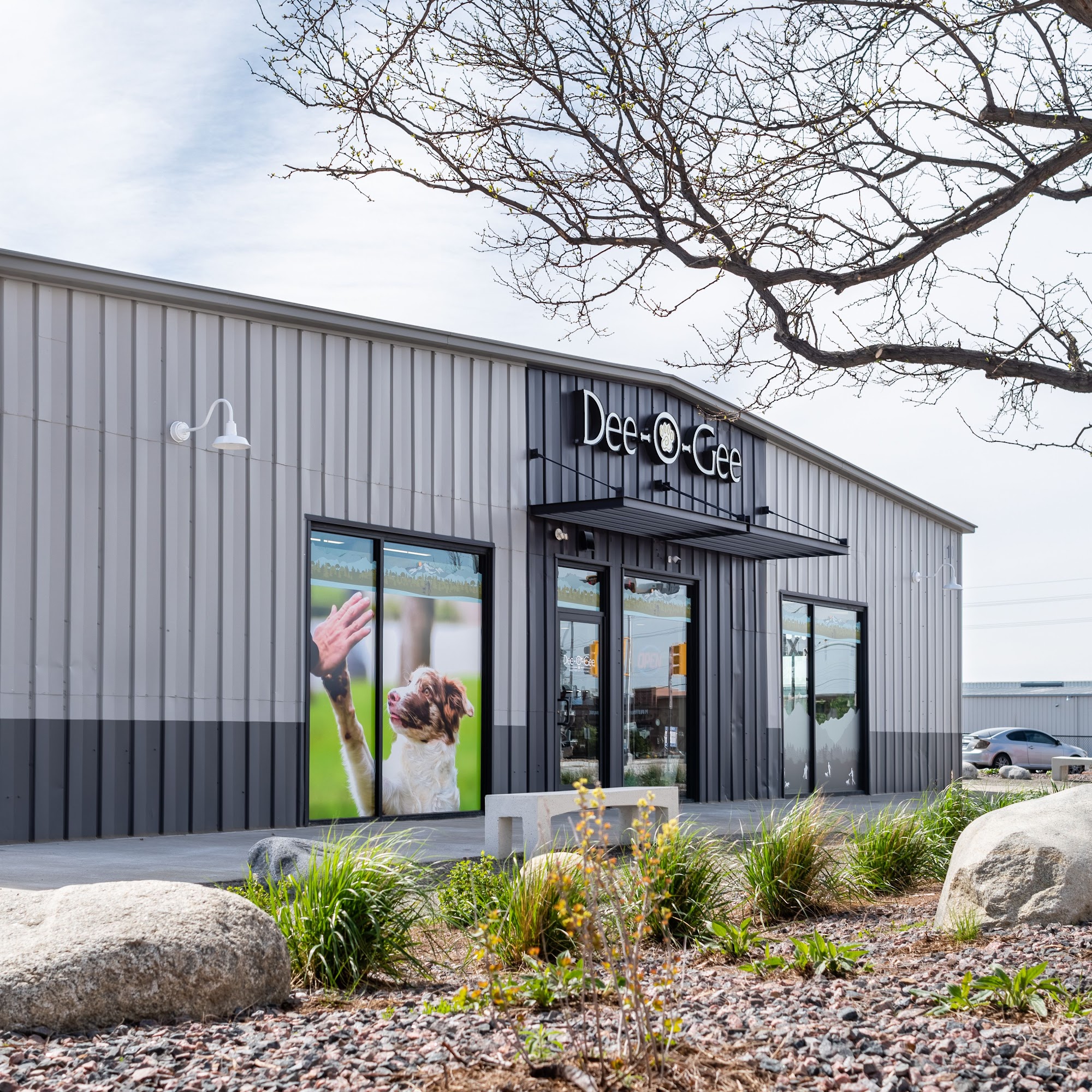 Dee-O-Gee Longmont Longmont