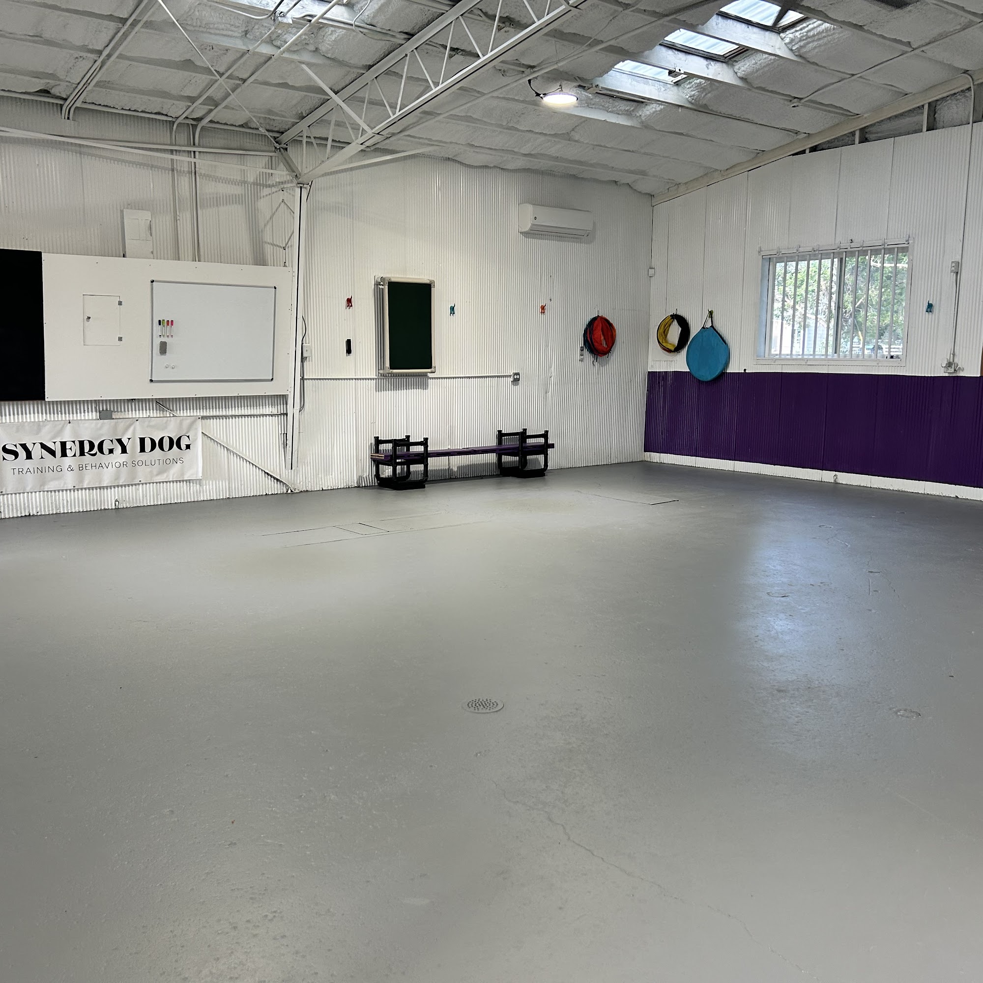 Synergy Dog Training & Behavior Solutions Longmont