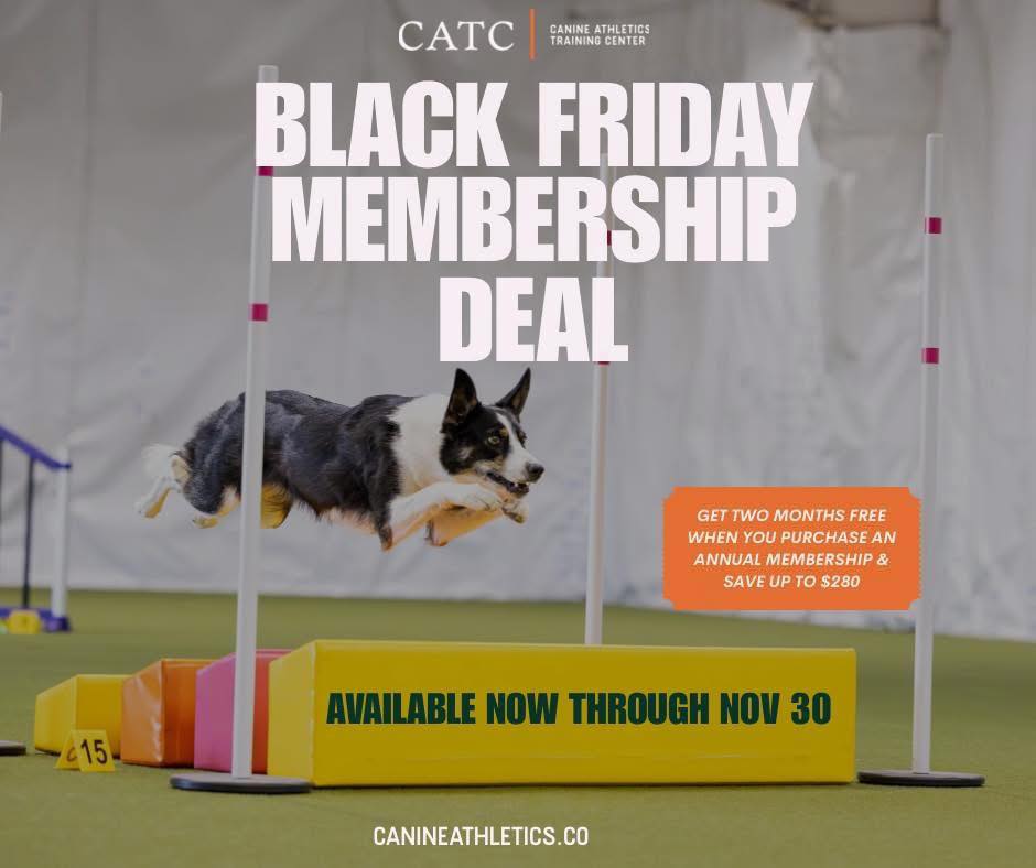 Canine Athletics Training Center Longmont