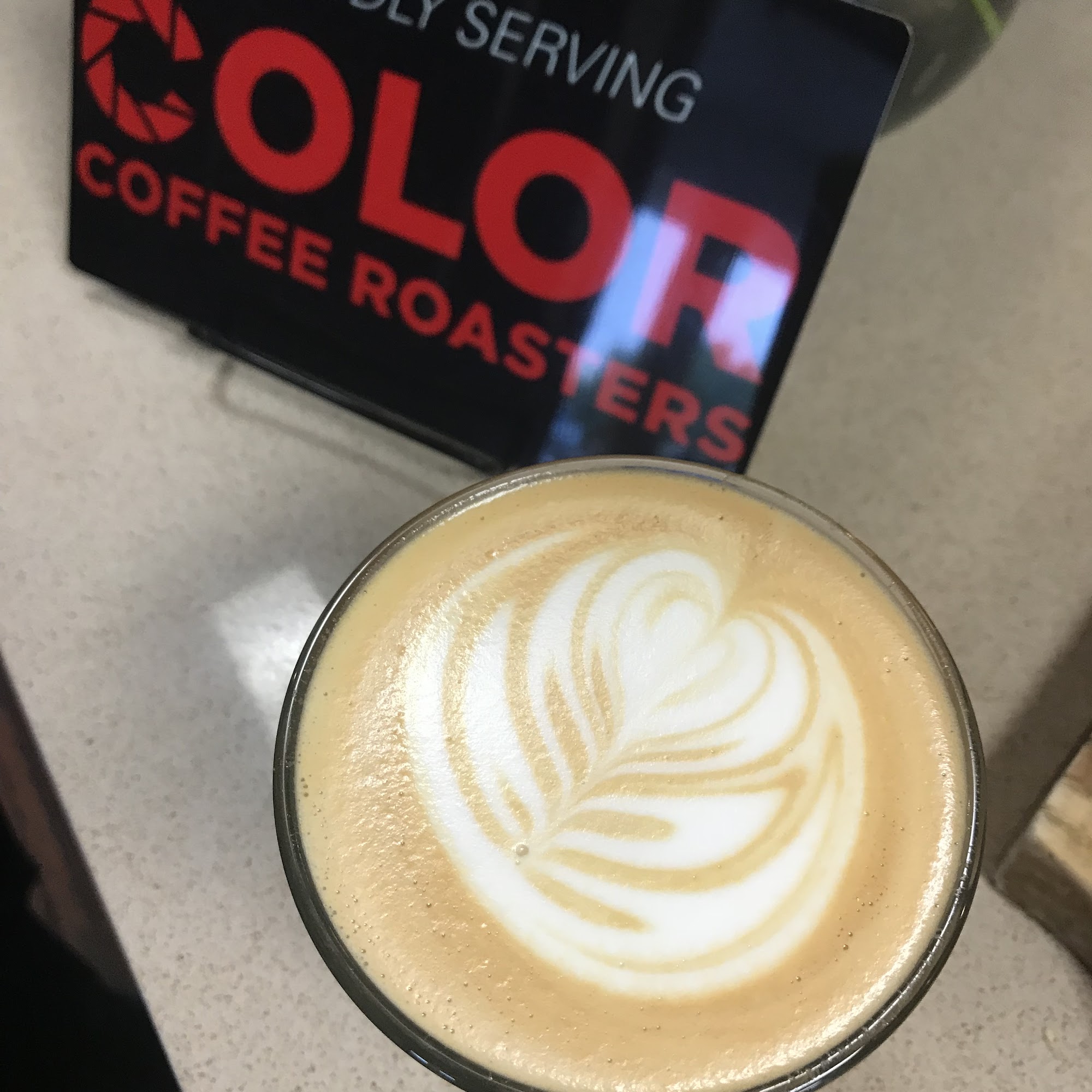 Moxie Bread Co. Louisville