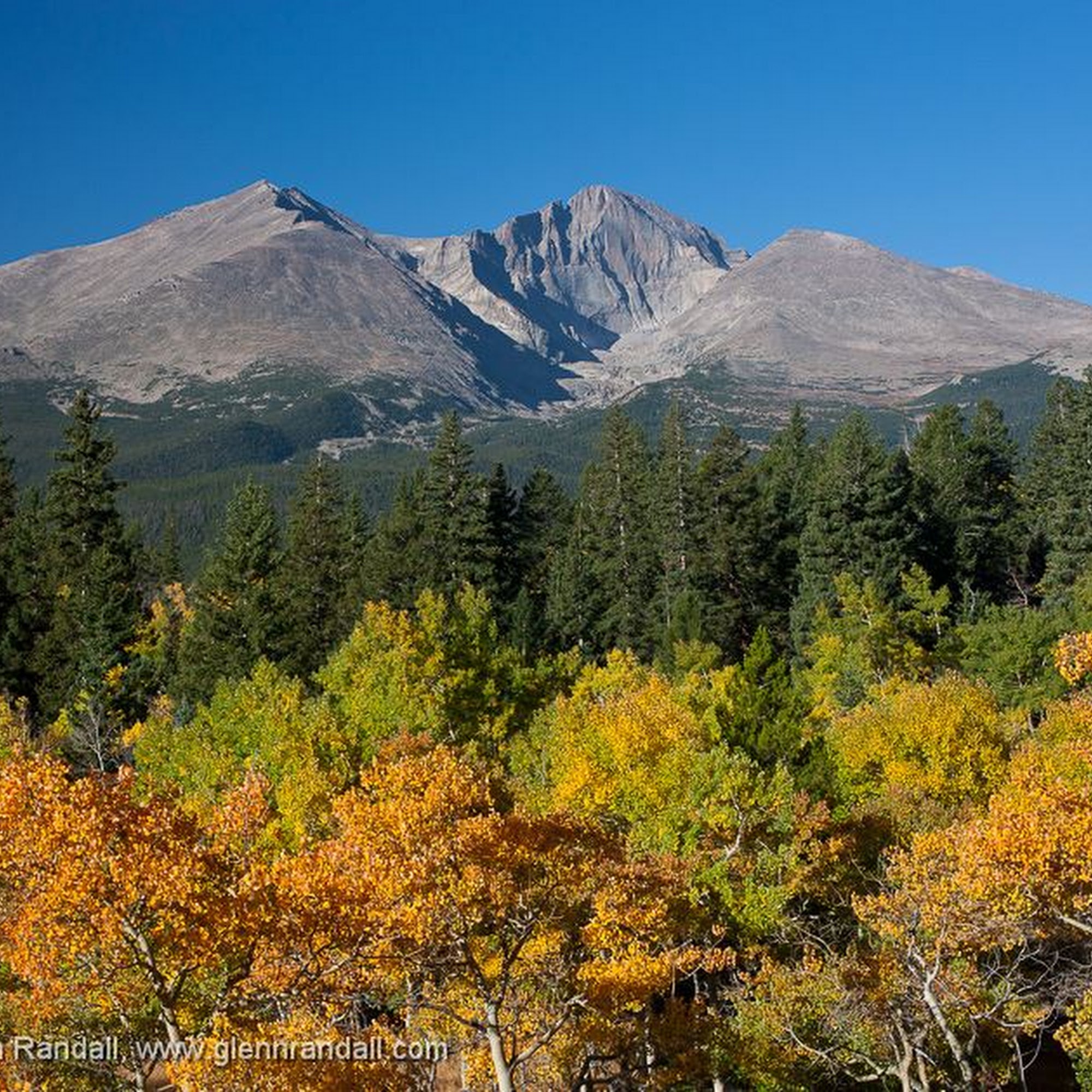 Twin Peaks Veterinary Clinic Loveland