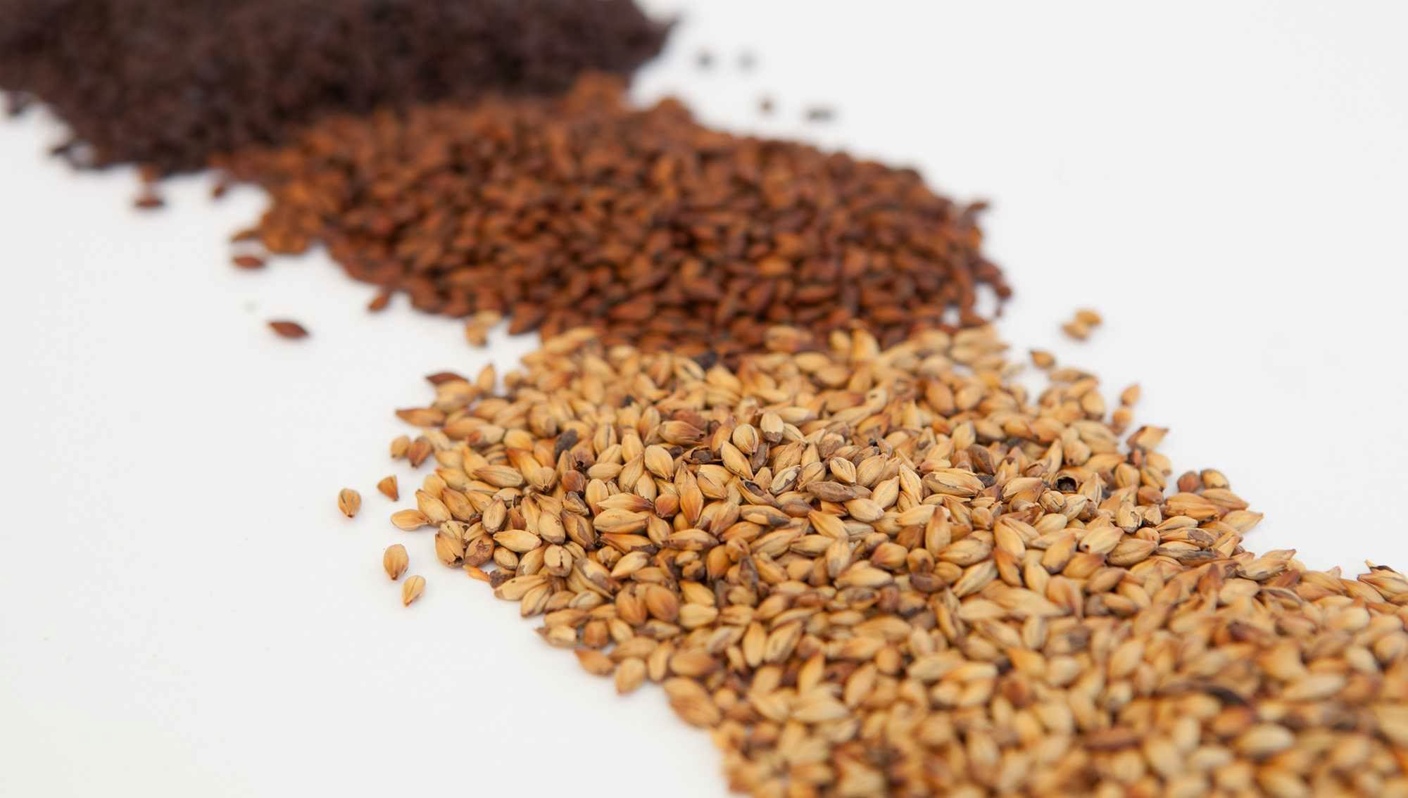 Loveland Aleworks Loveland