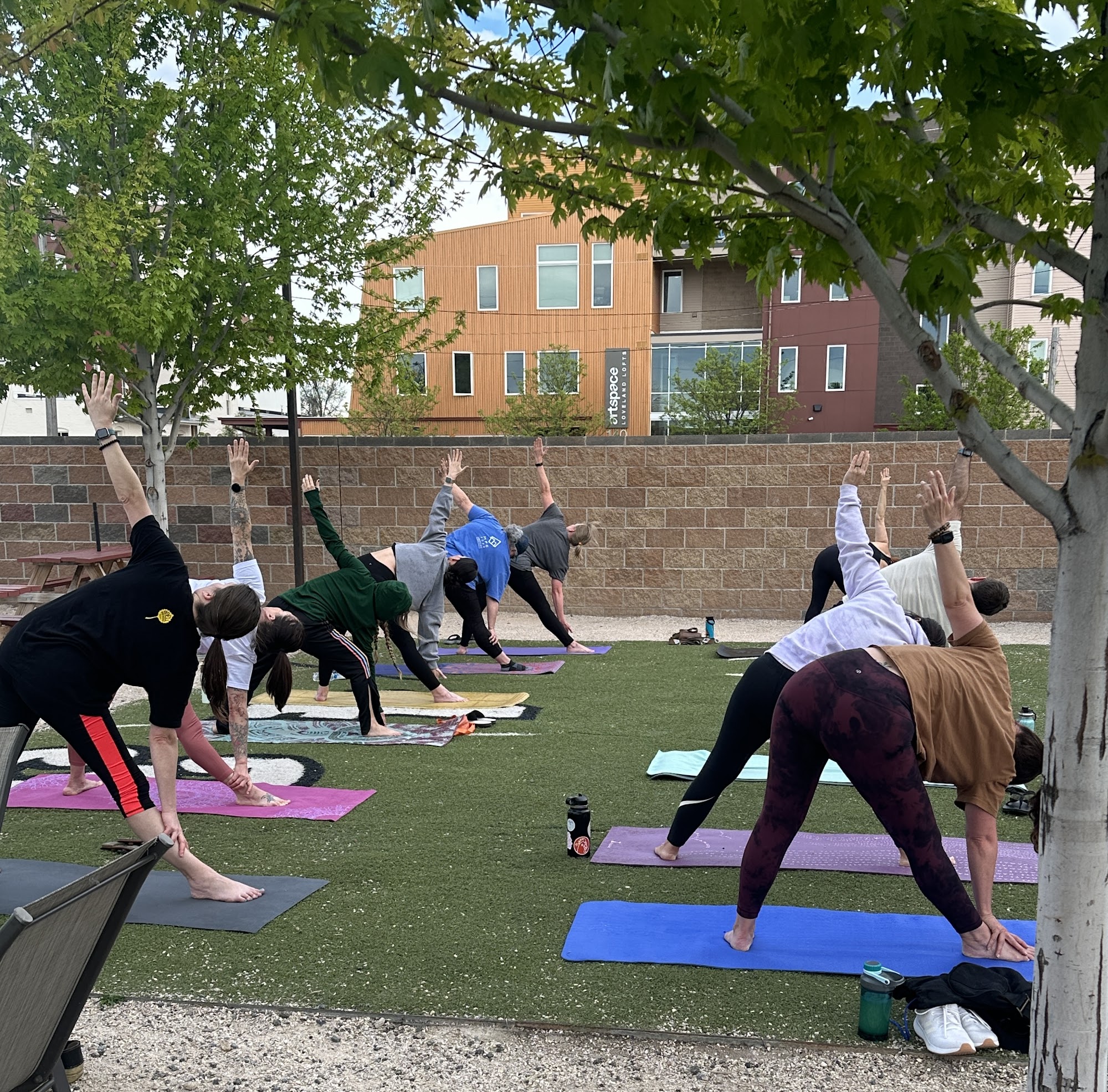 Backyard Tap Loveland