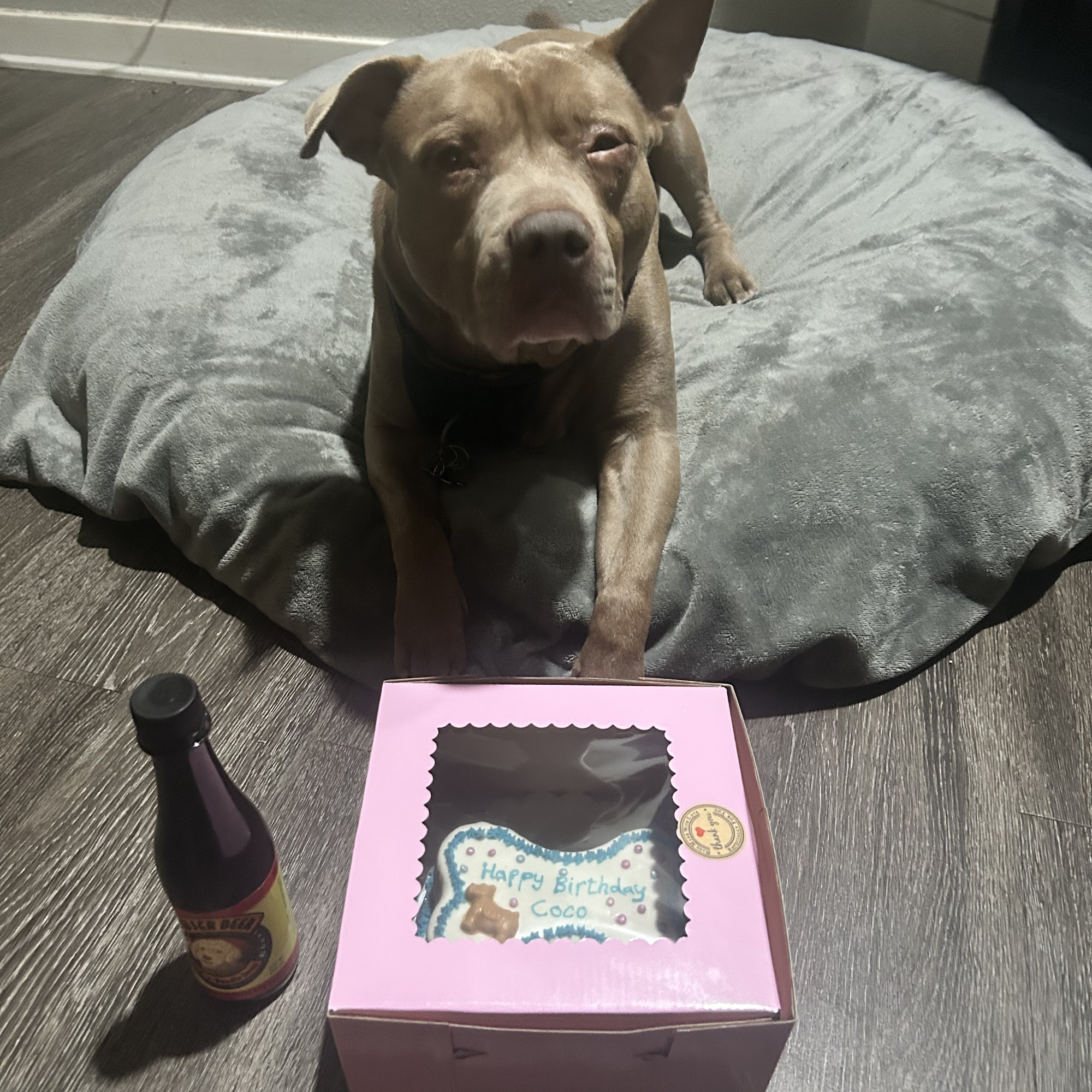 The Biscuit Barkery of N. Colorado Loveland