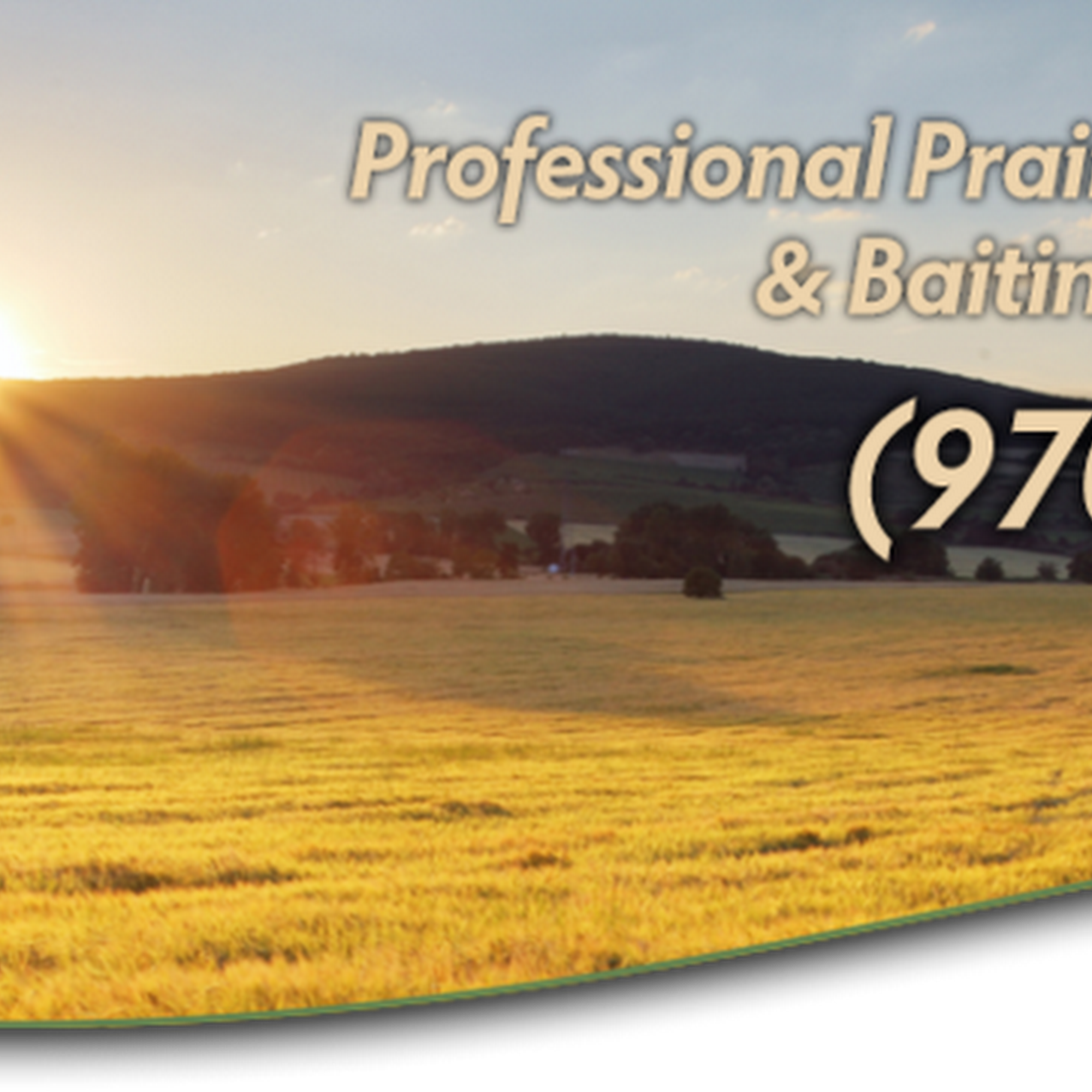 Prairie Dog Pros LLC