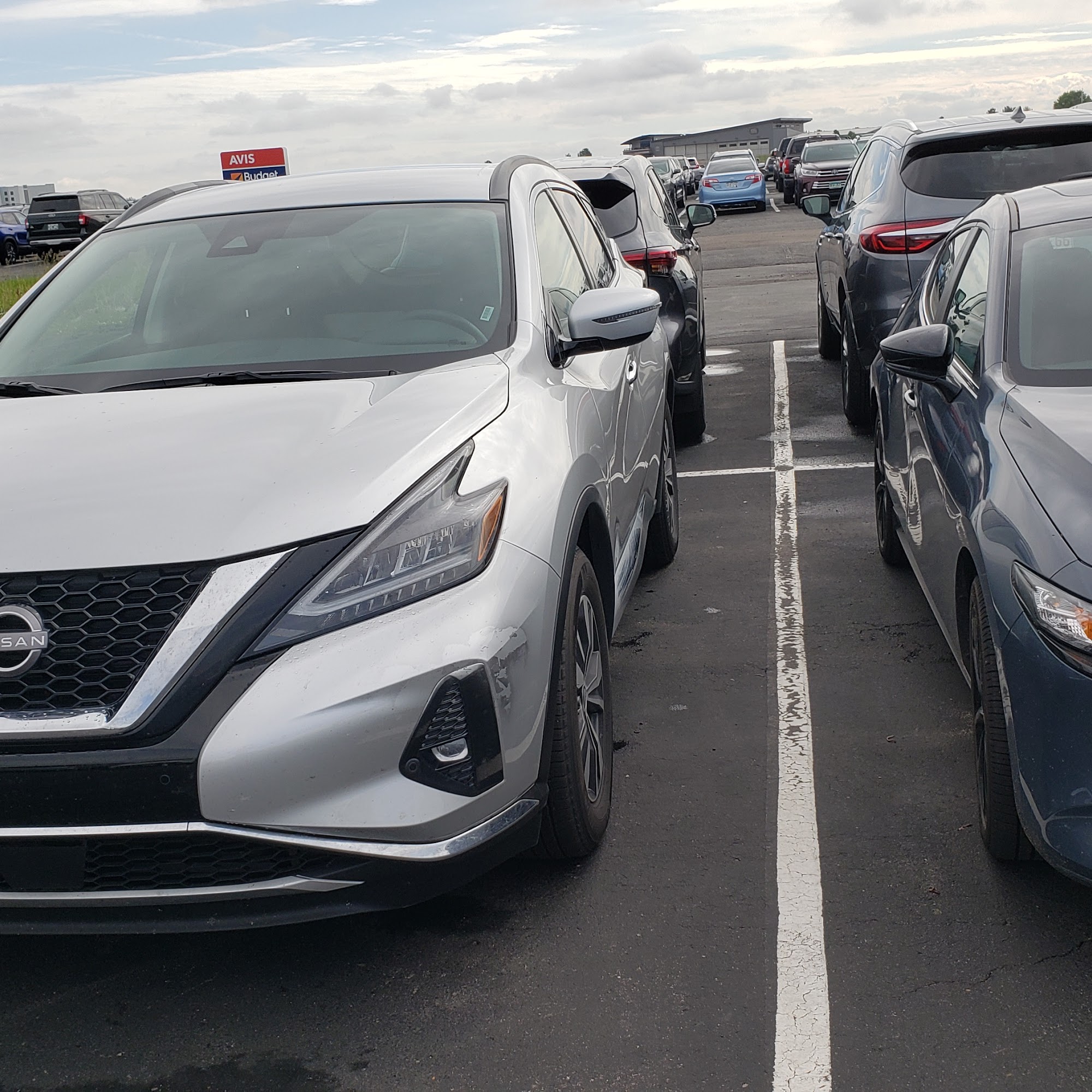 Avis Car Rental