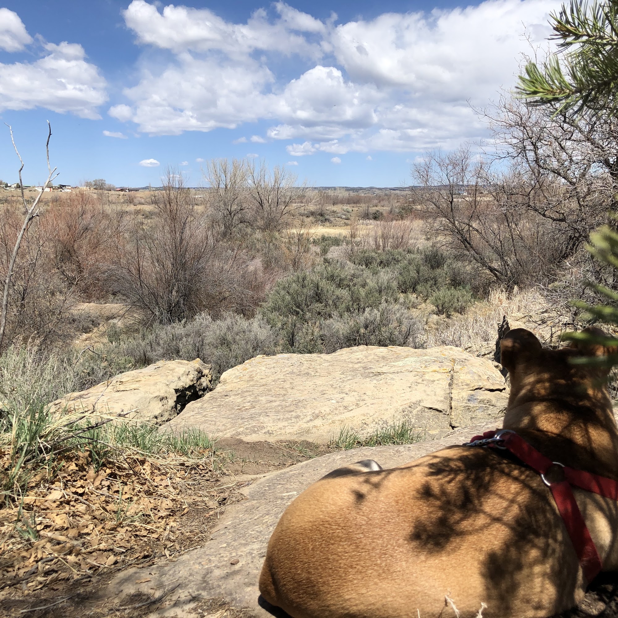 Mancos Valley Veterinary Hospital Mancos