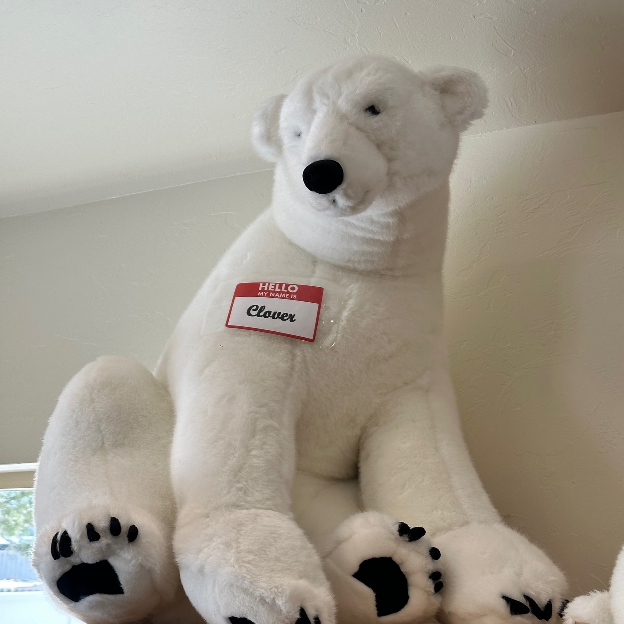 San Juan Veterinary Clinic Montrose