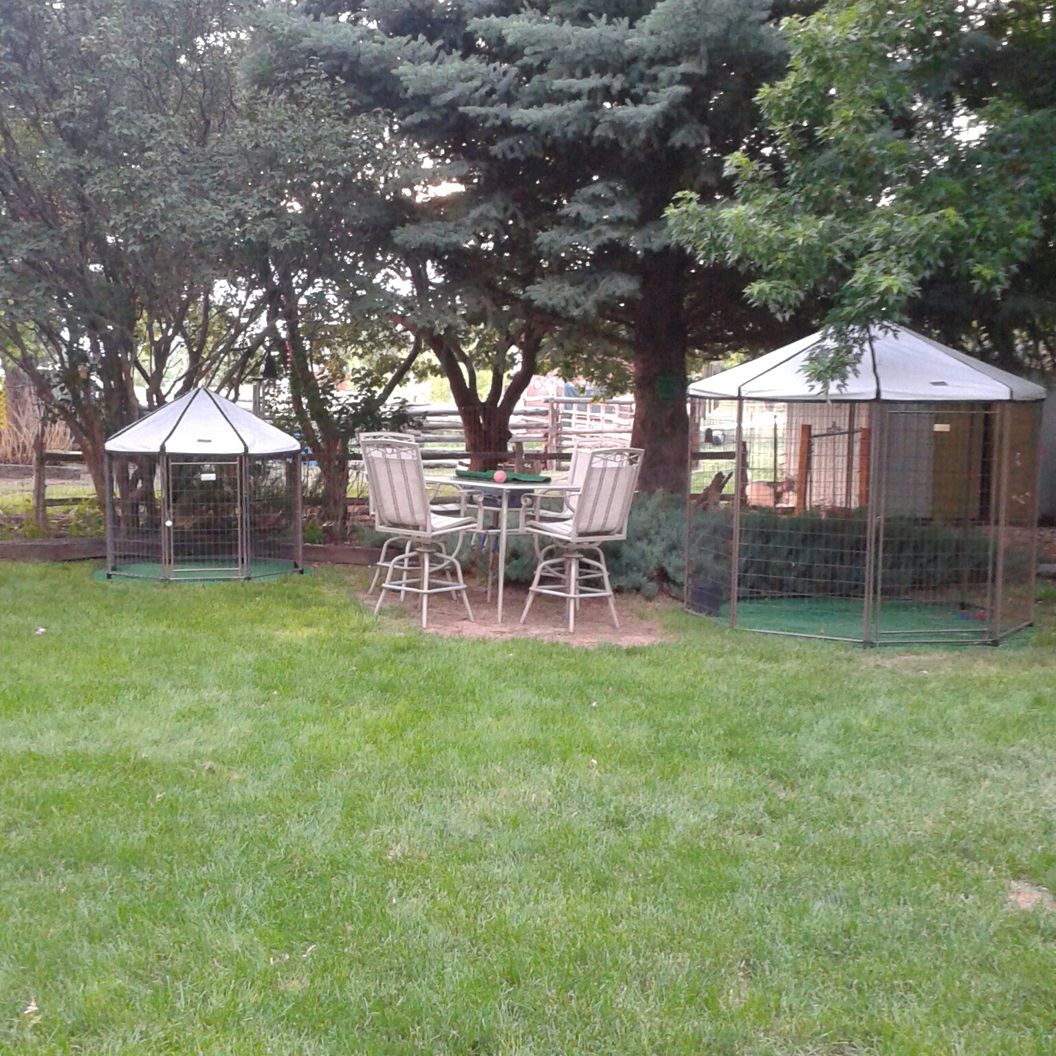 Peace Of Mind Dog Boarding Montrose