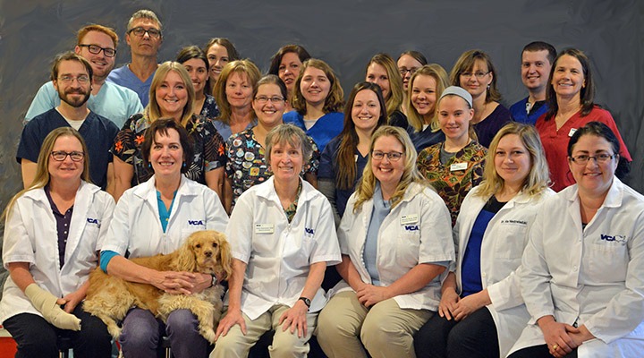 VCA Front Range Animal Hospital Monument