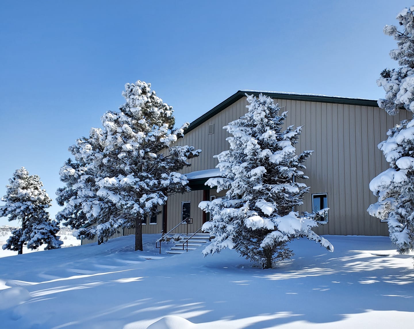 Aspen Ridge Equine Hospital, PC