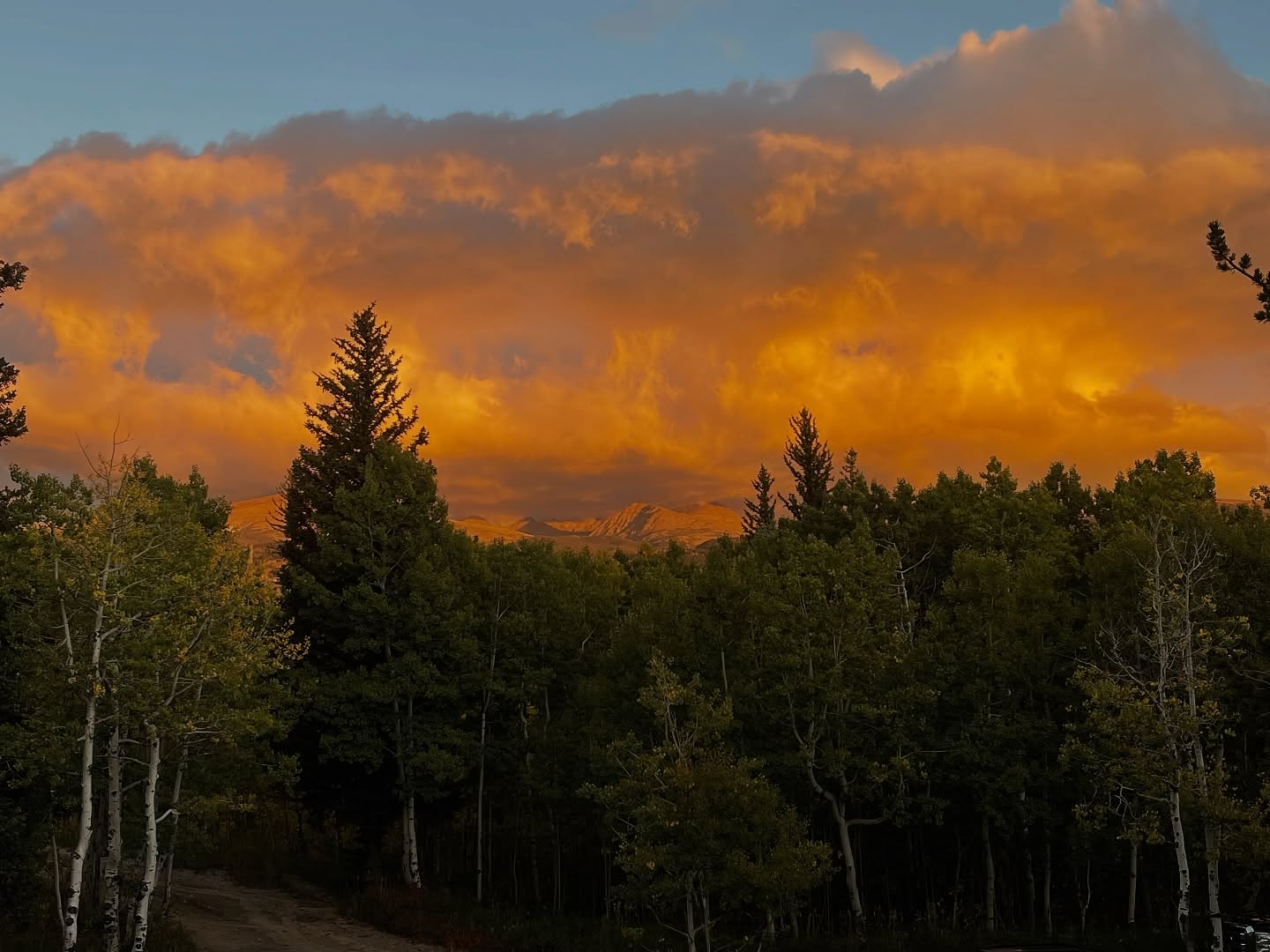 Salto Coffee Nederland