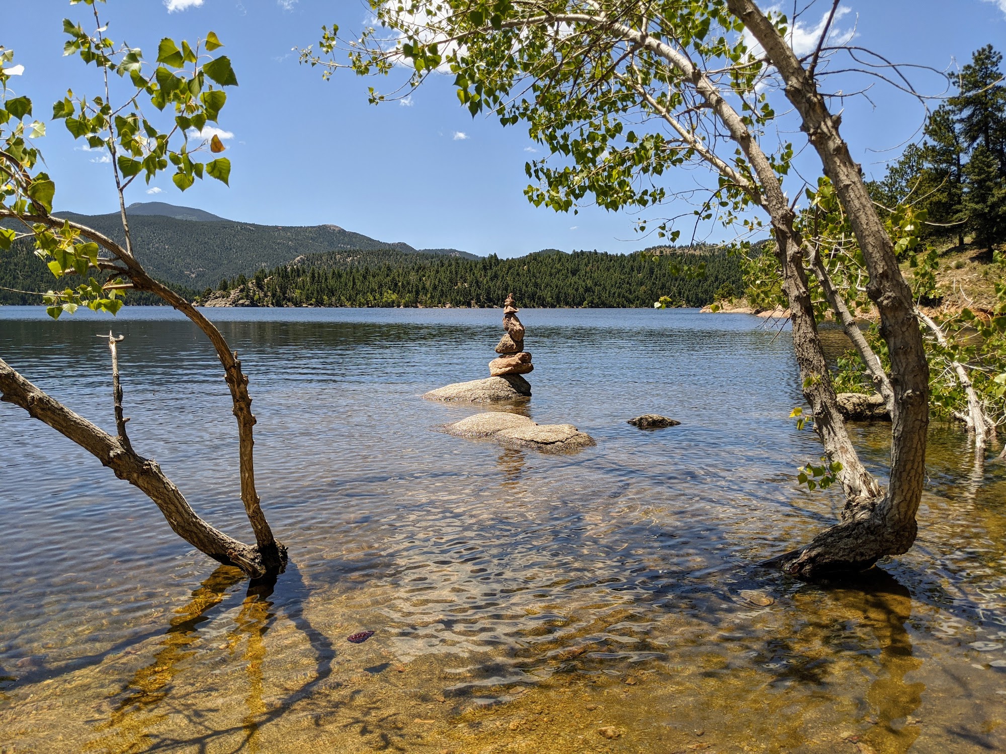 Nederland Veterinary Hospital Nederland