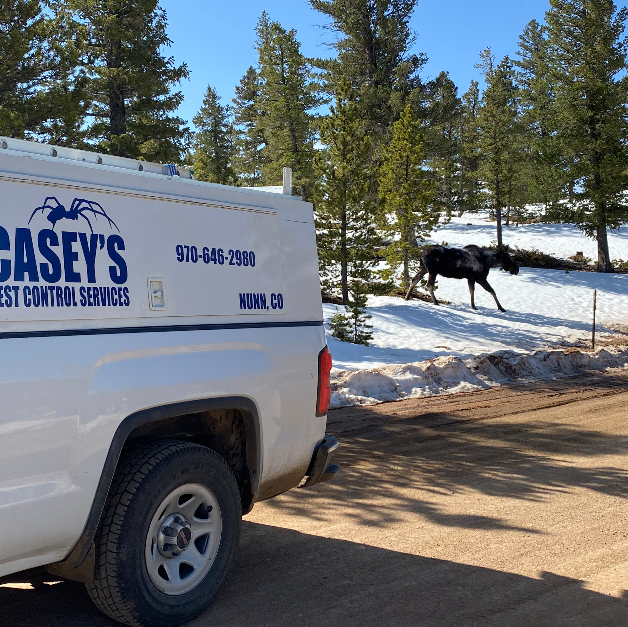Casey's Pest Control Services LLC 48509 County Rd 19, Nunn Colorado 80648