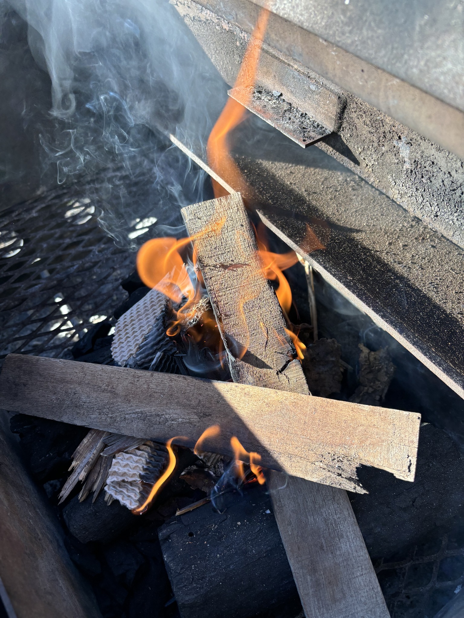 13 °Brix Cider Bistro Palisade