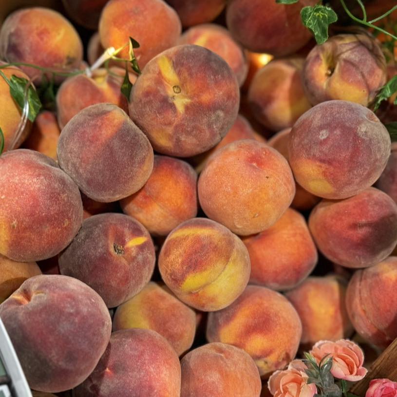 Kokopelli Farm Market Palisade