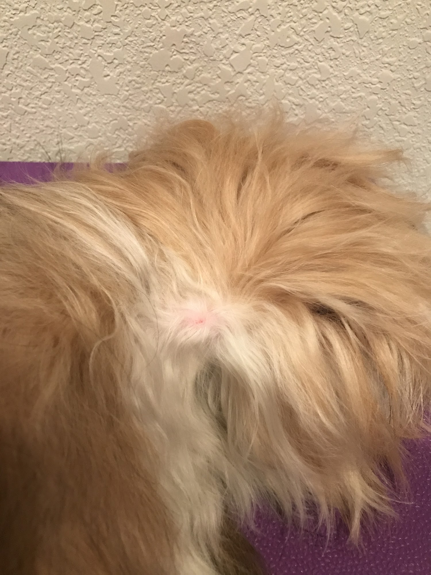 Earthwise Pet Supply Parker